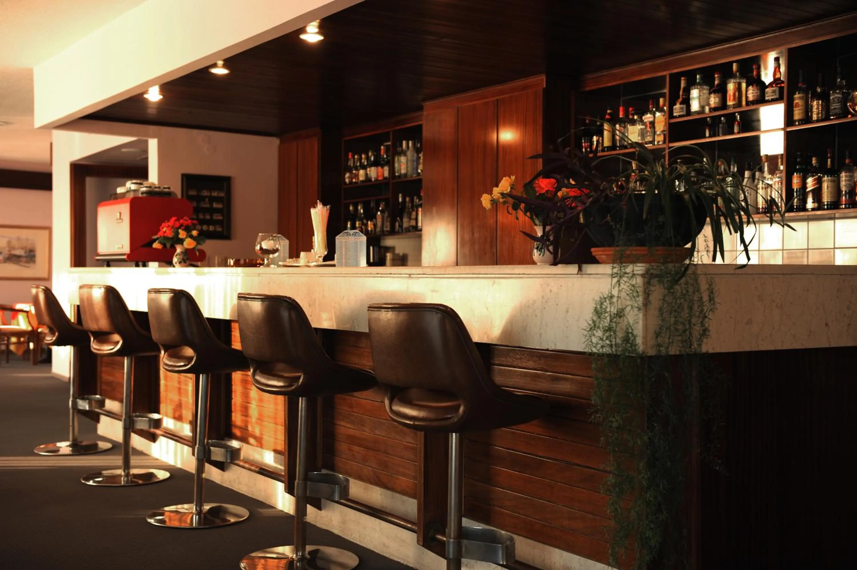 Lounge or bar in Delfinia Hotel & Bungalows