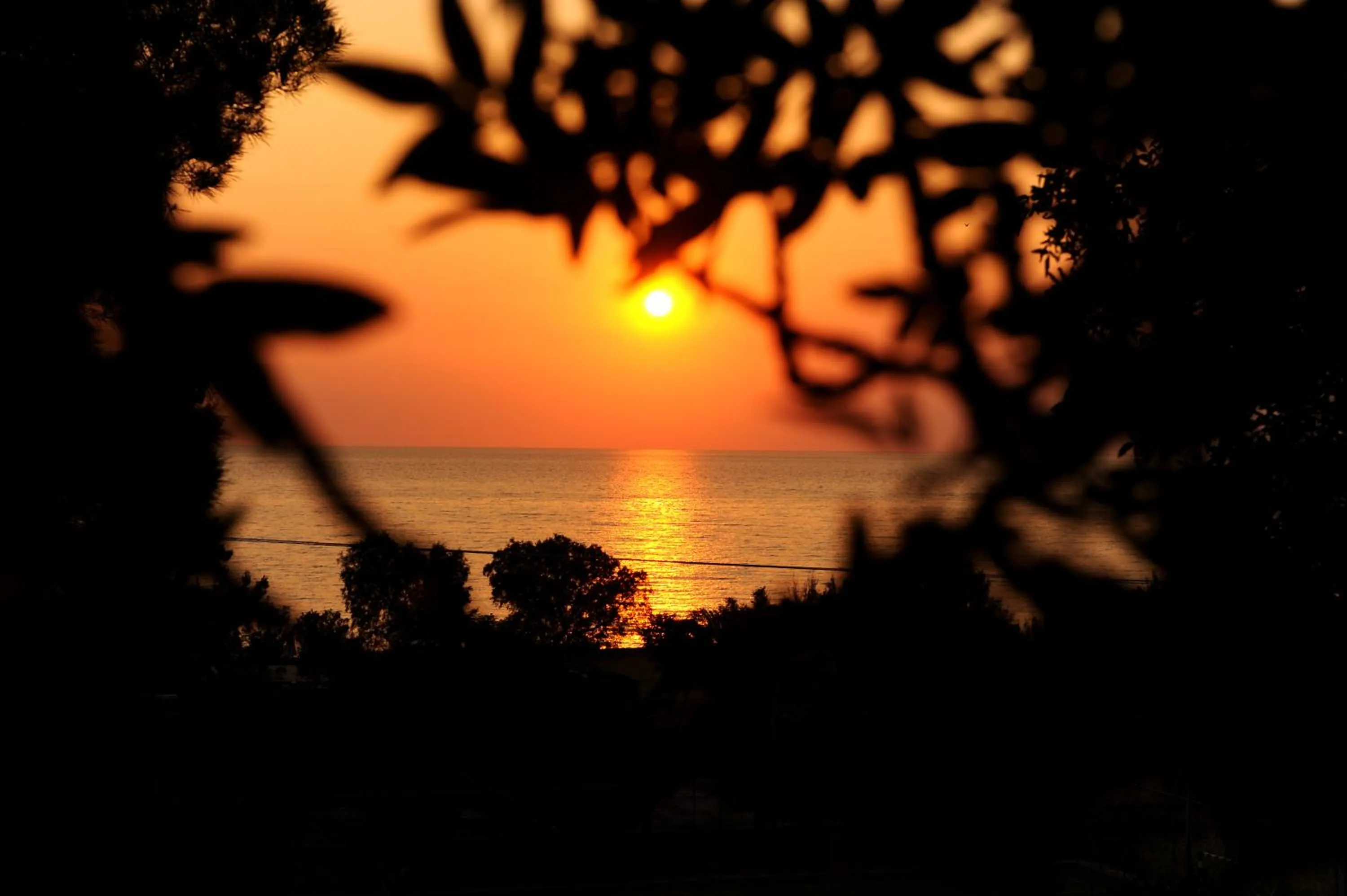 Summer in Delfinia Hotel & Bungalows