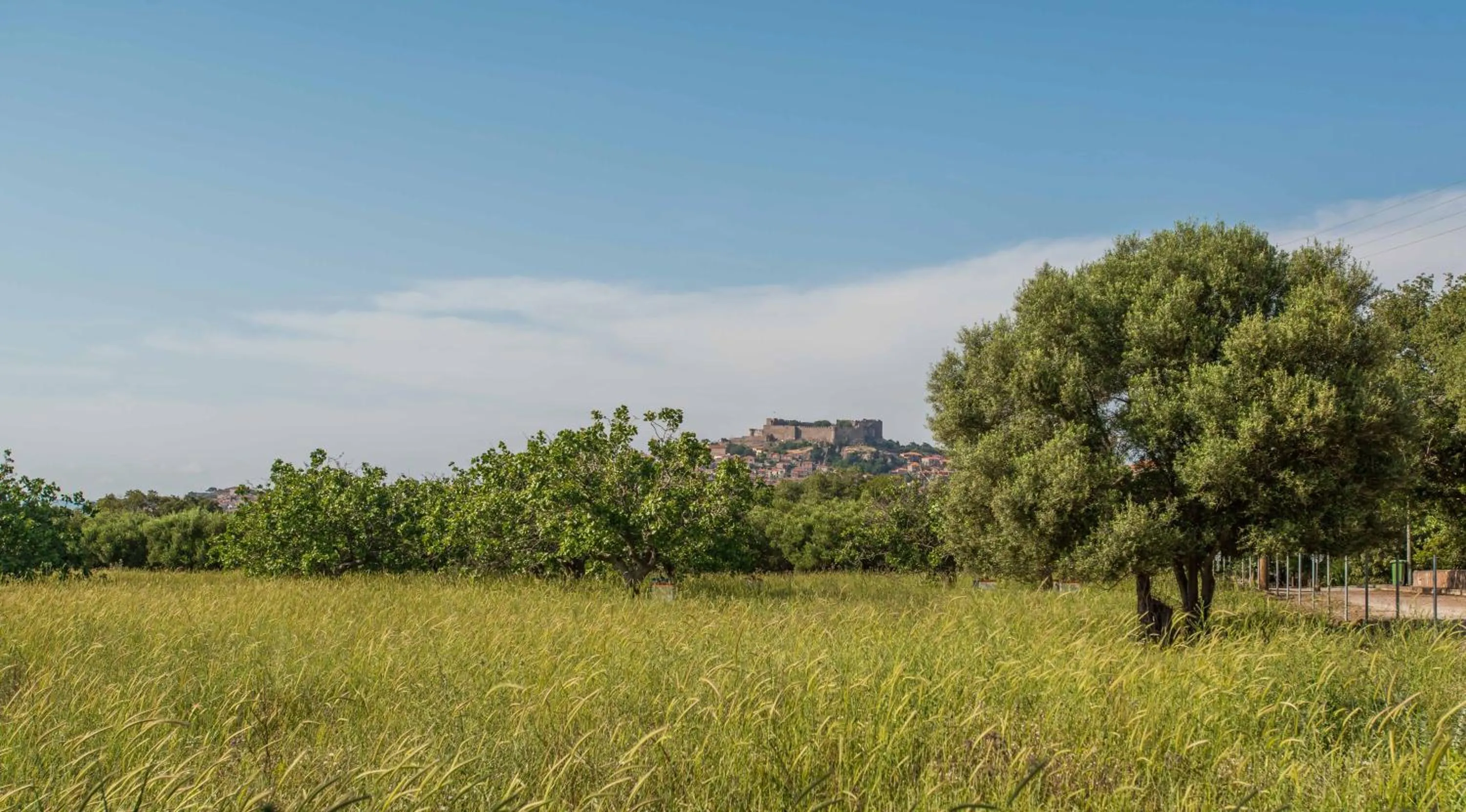 Garden in Delfinia Hotel & Bungalows