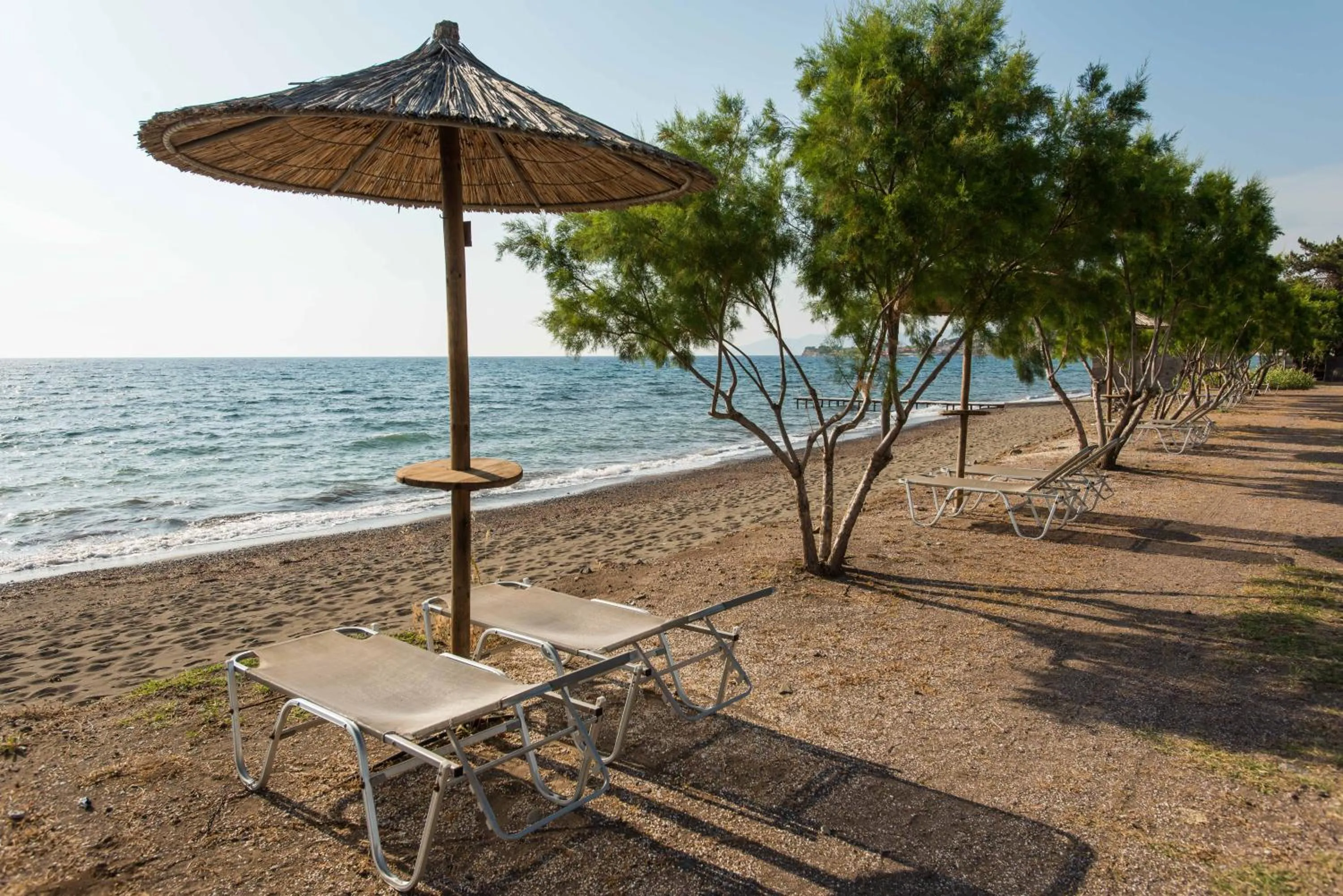 Beach in Delfinia Hotel & Bungalows
