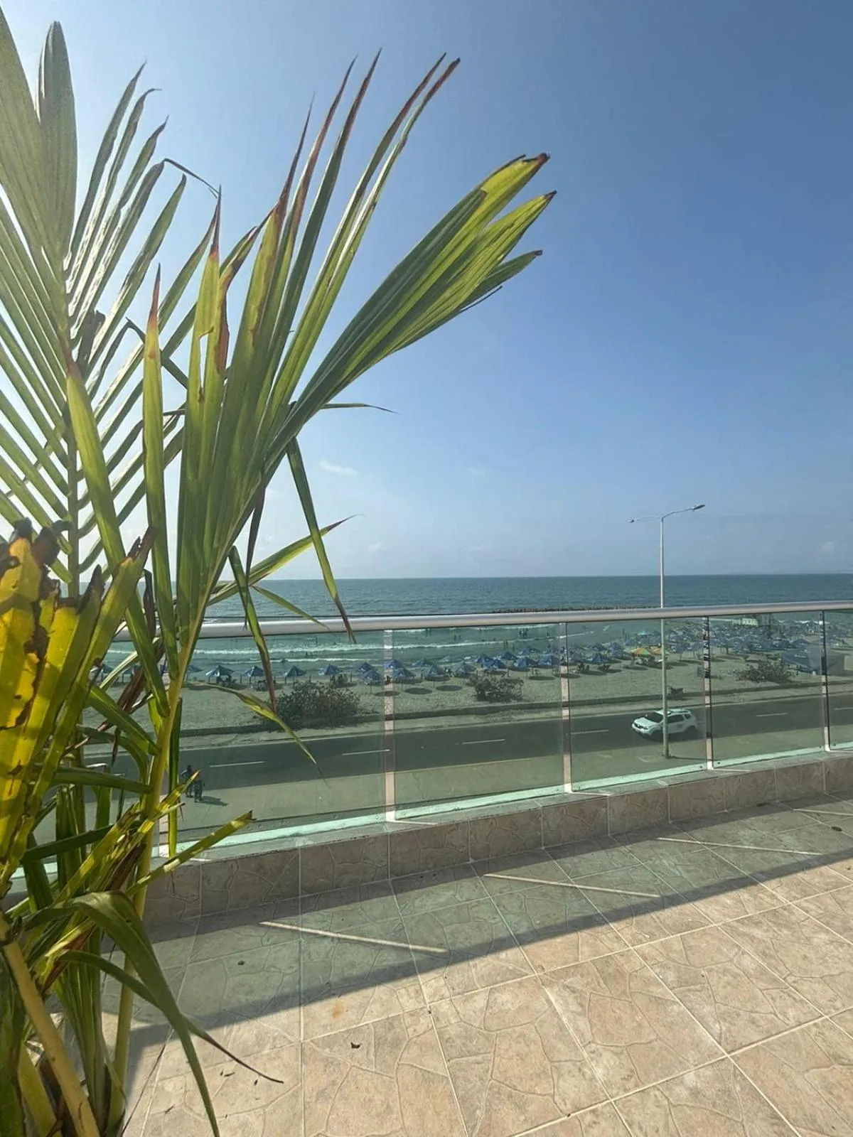 Natural landscape in Hotel Isla Capri