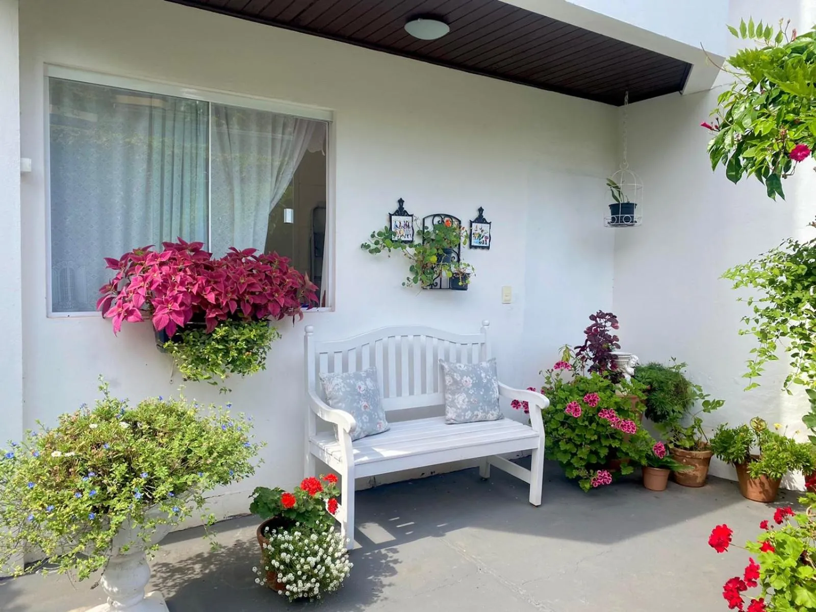 Garden in Villa Germânia