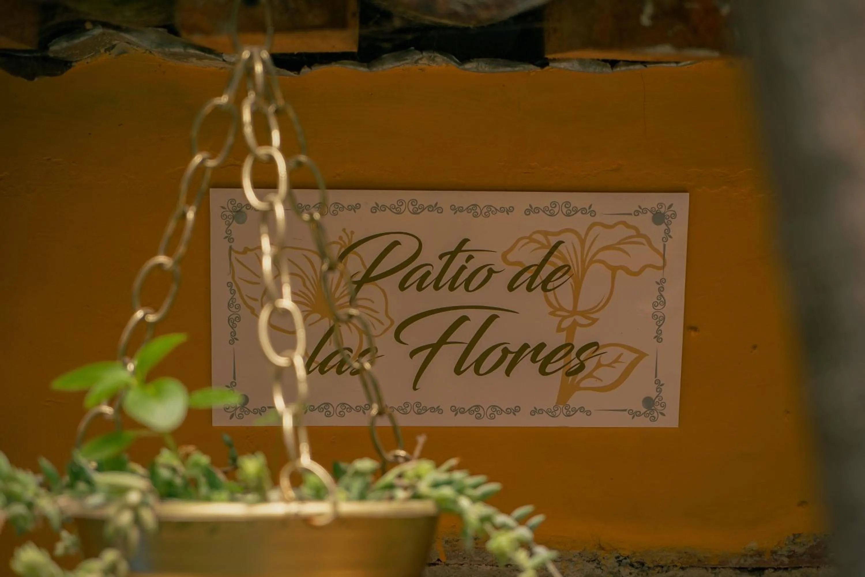 Patio in Hotel Tepeyac