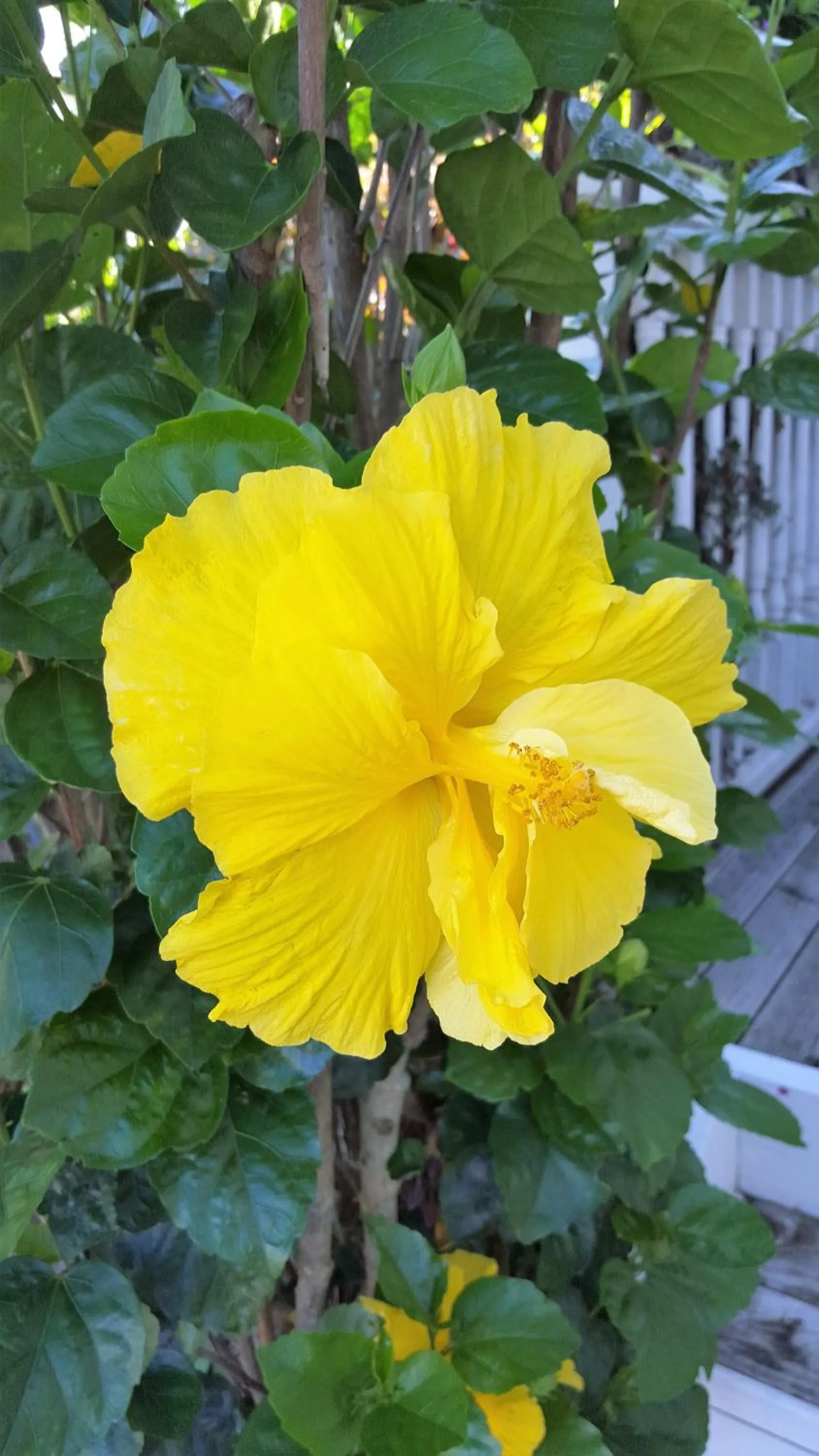 Property building in Seaport Village