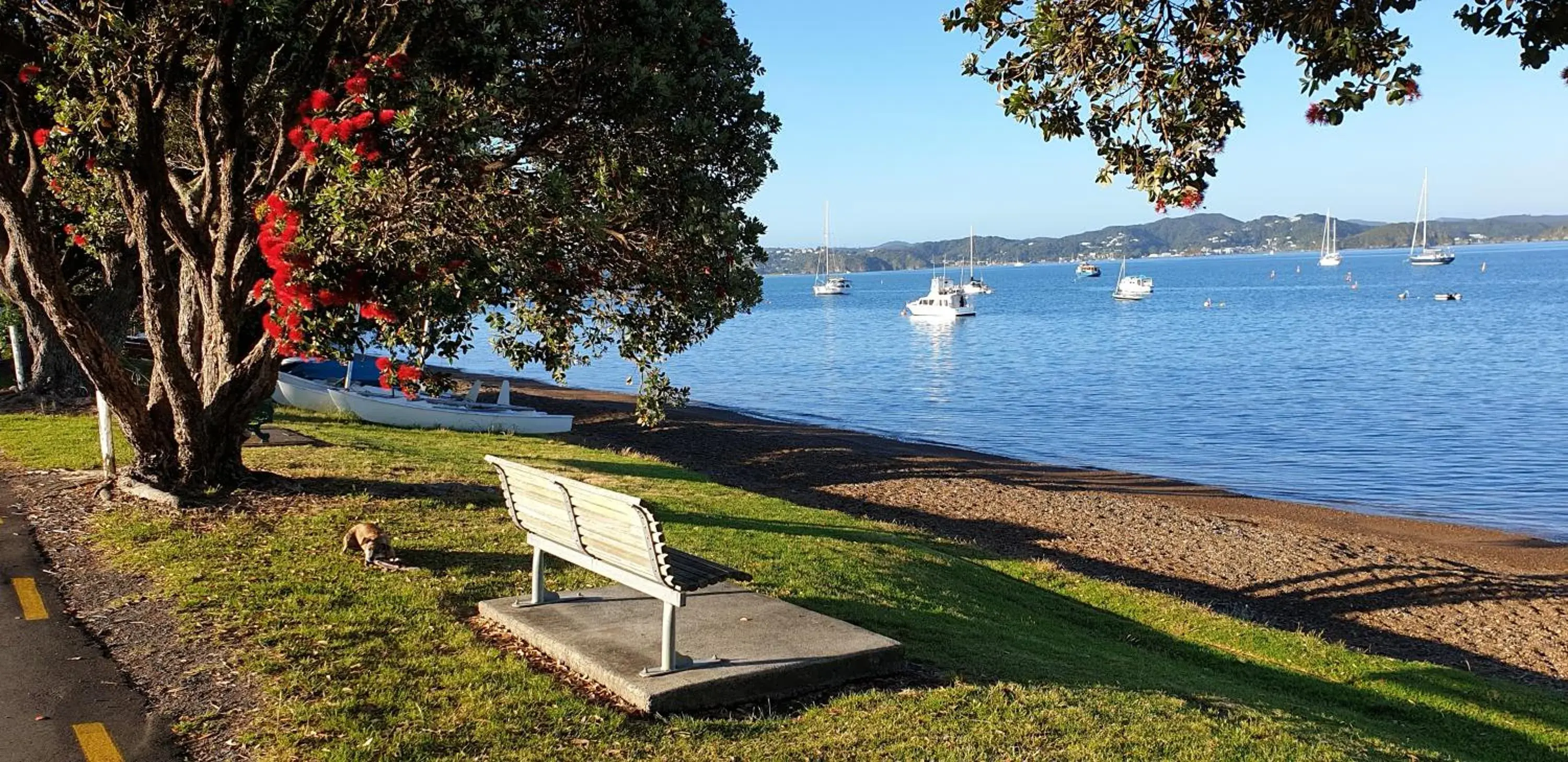 Three-Bedroom Apartment - Ground Floor in Seaport Village Three-Bedroom Apartment - Ground Floor in Seaport Village