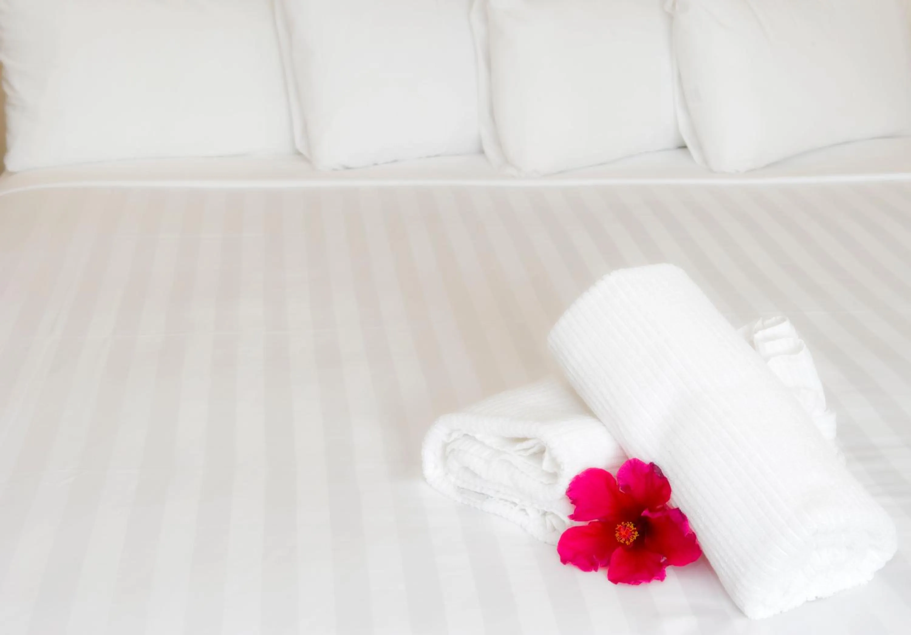 Bed in Seaport Village