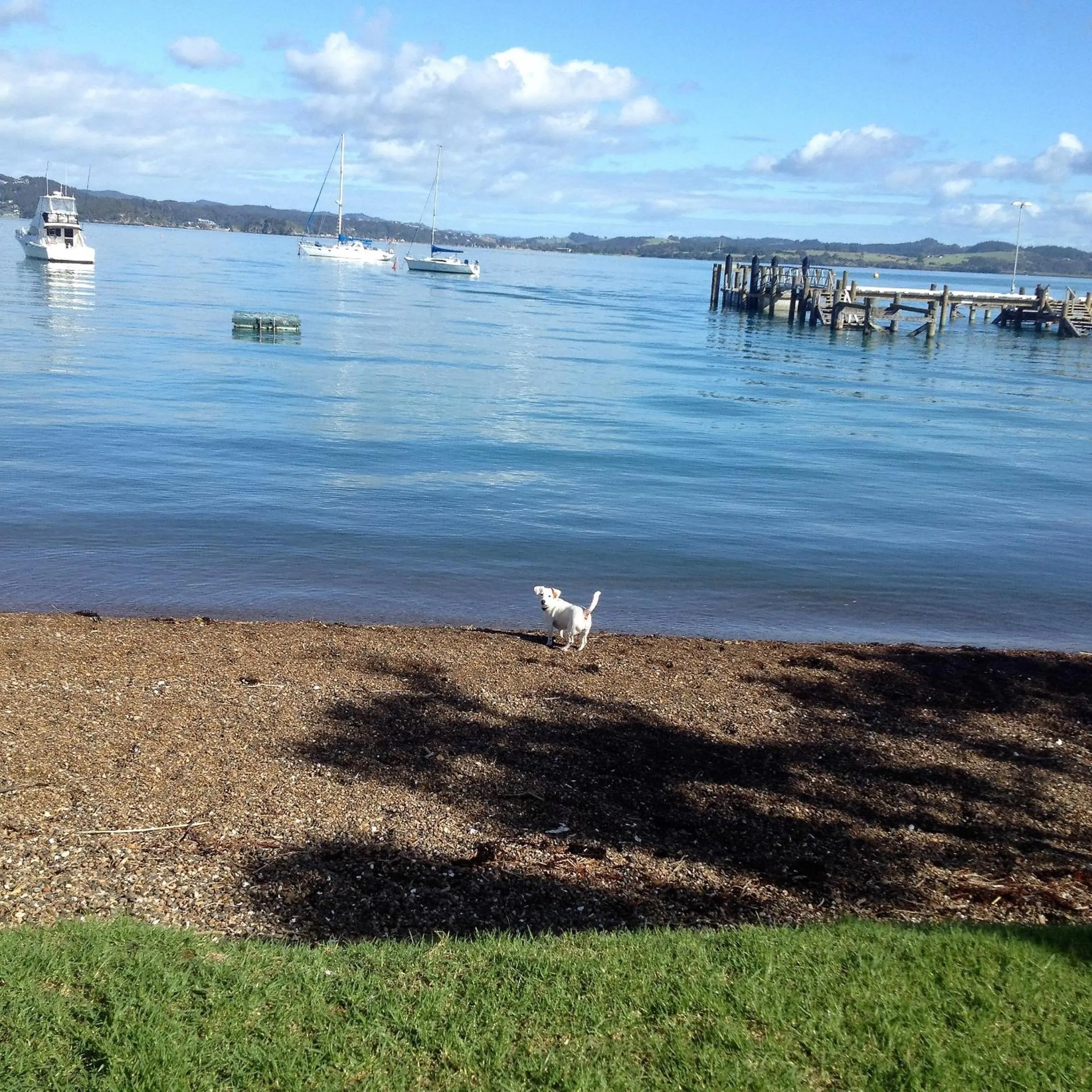 Property building in Seaport Village