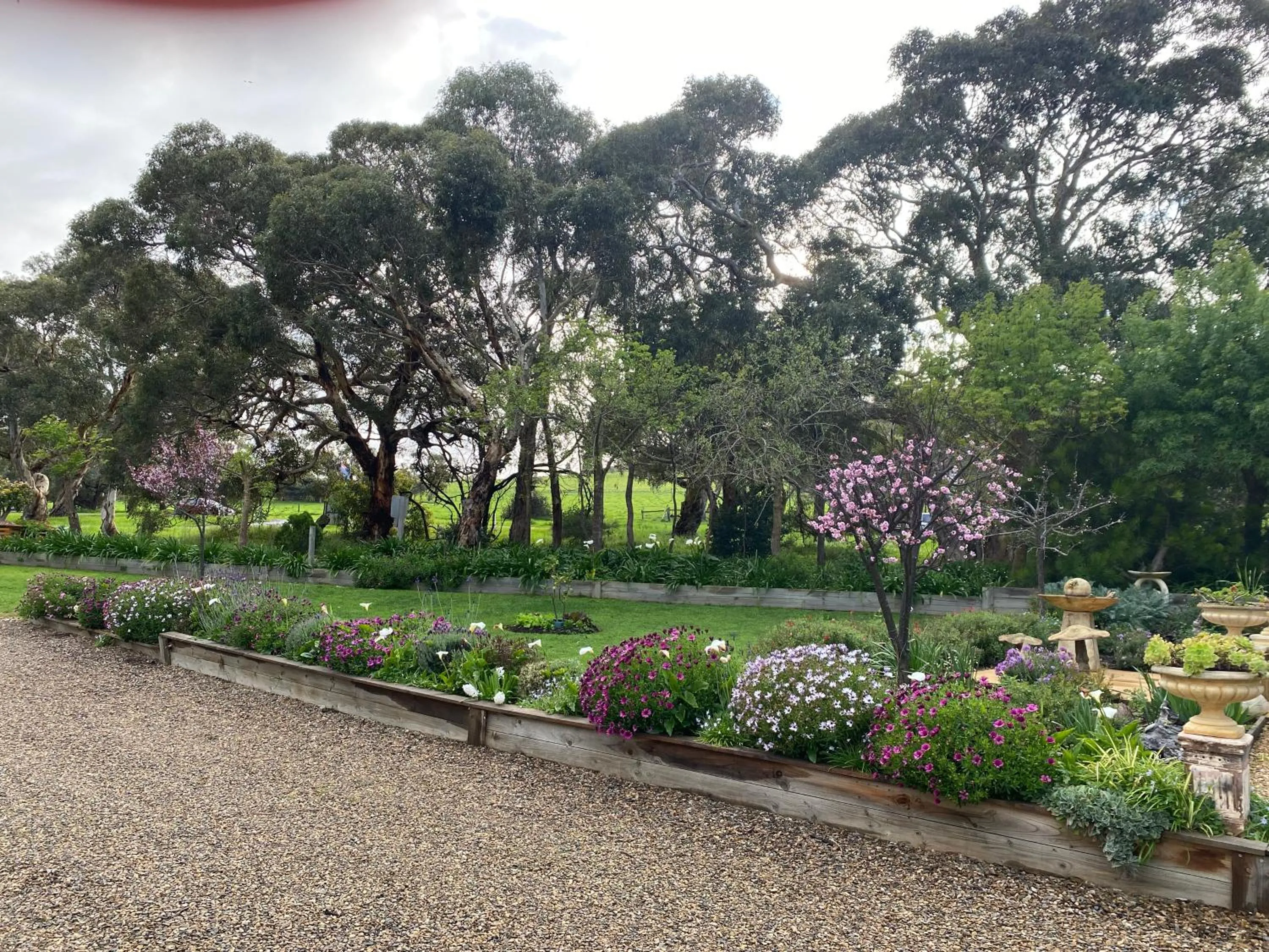 Garden in Lazy Days Cottage - Victor Harbor