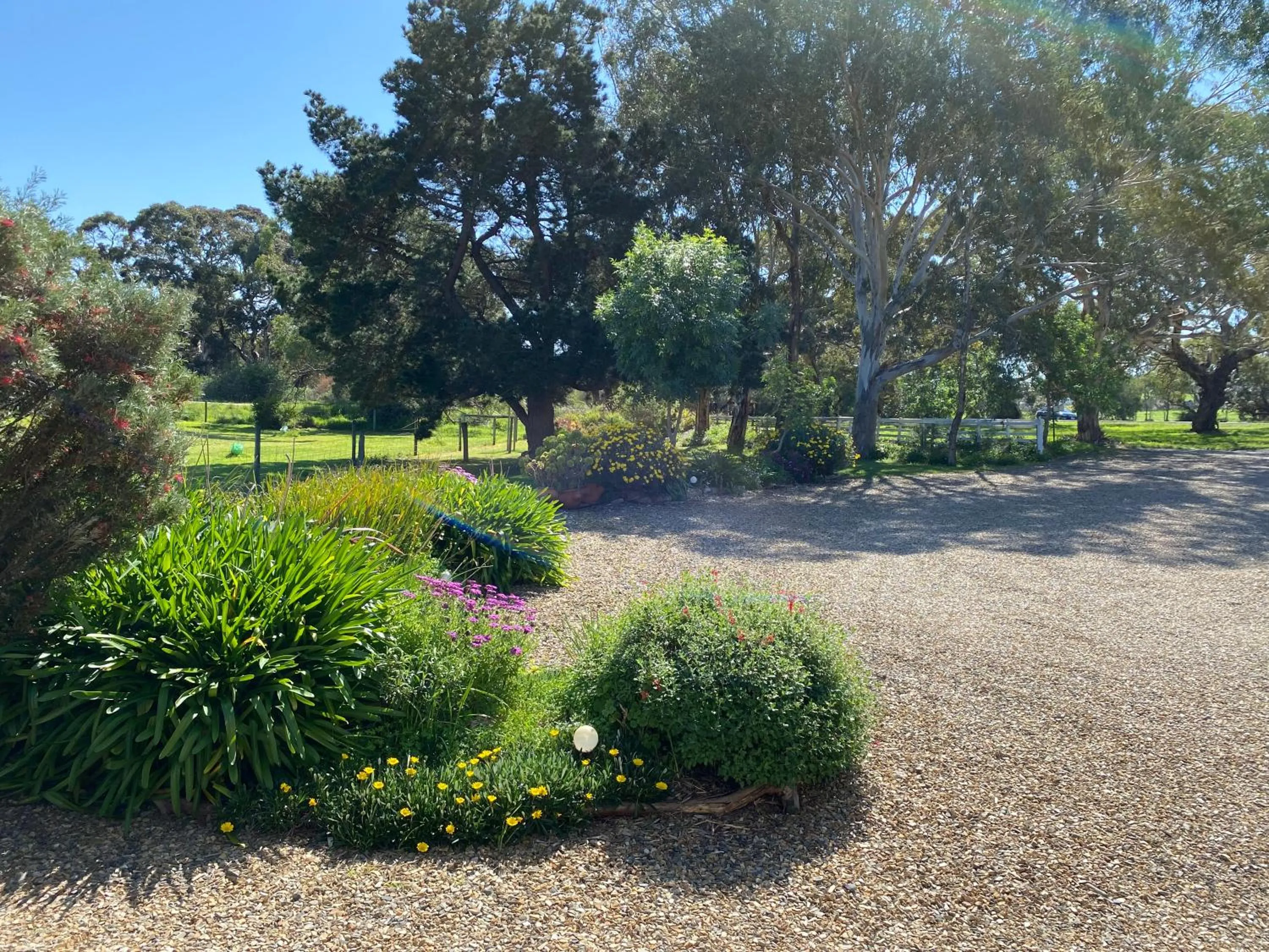 Garden view in Lazy Days Cottage - Victor Harbor