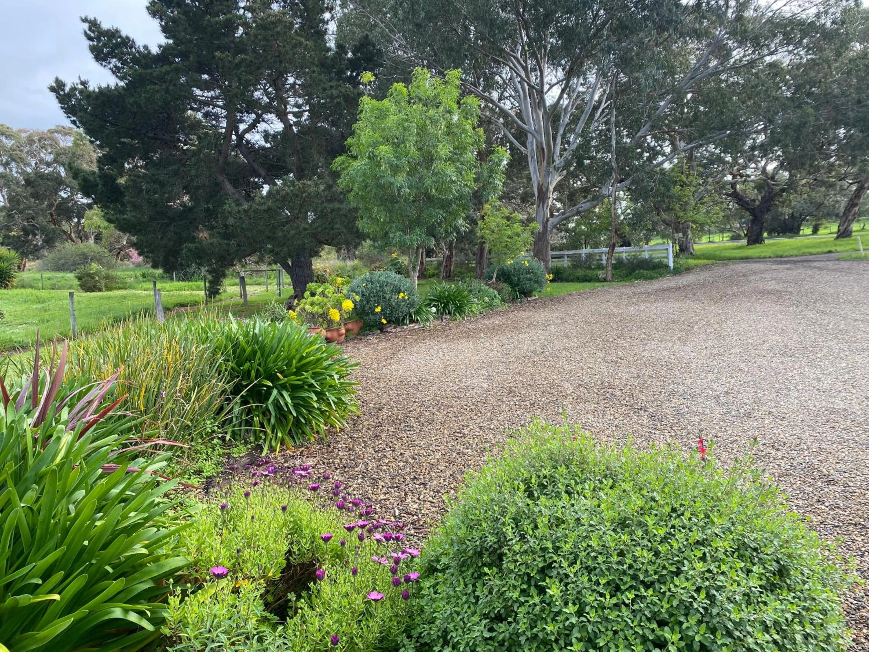 Garden view in Lazy Days Cottage - Victor Harbor