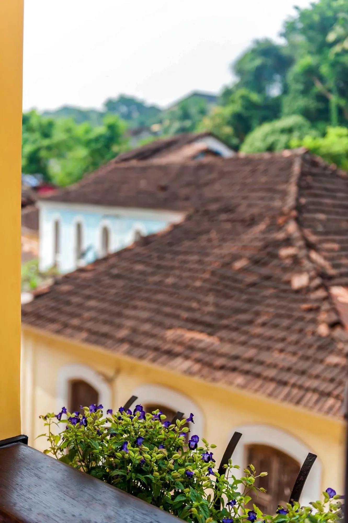 Neighbourhood in Mateus Boutique Hotel