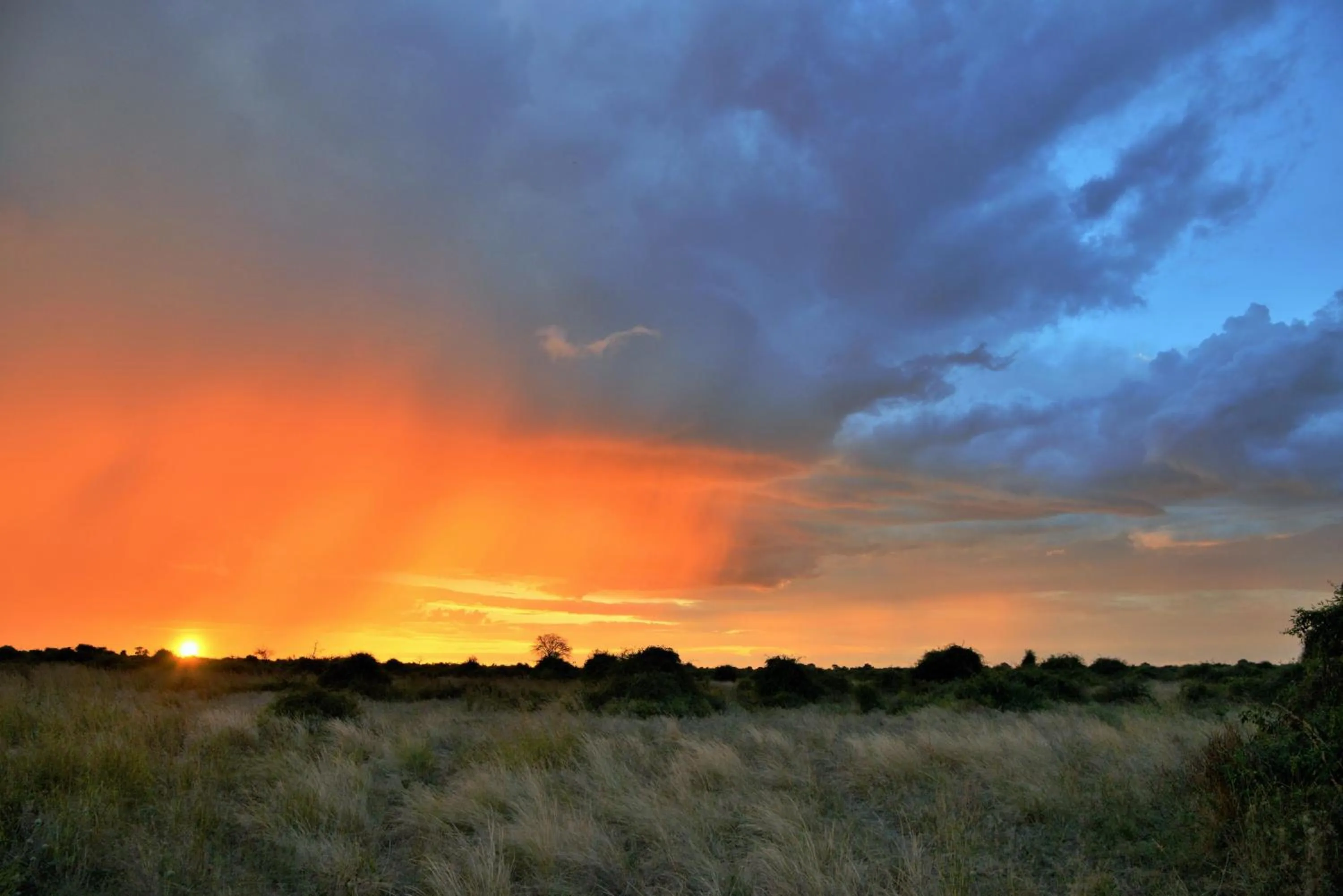Natural landscape in Thebe River Safaris