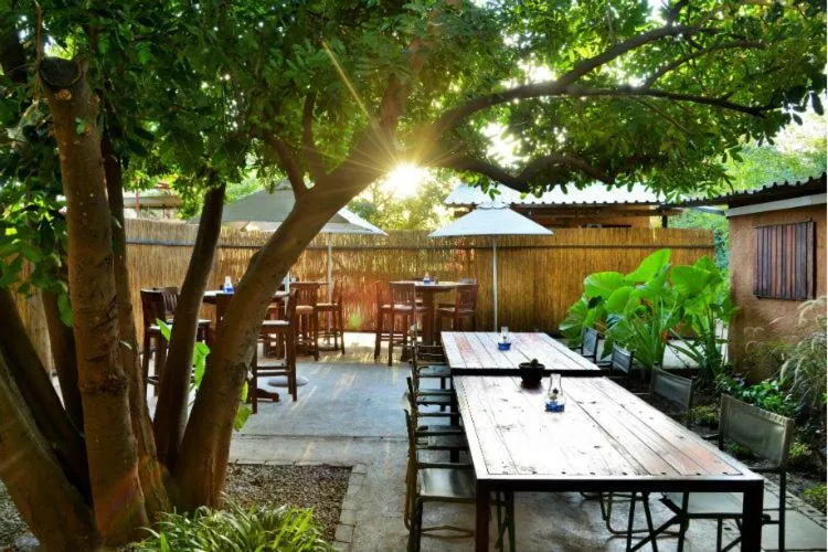 Restaurant/places to eat in Thebe River Safaris