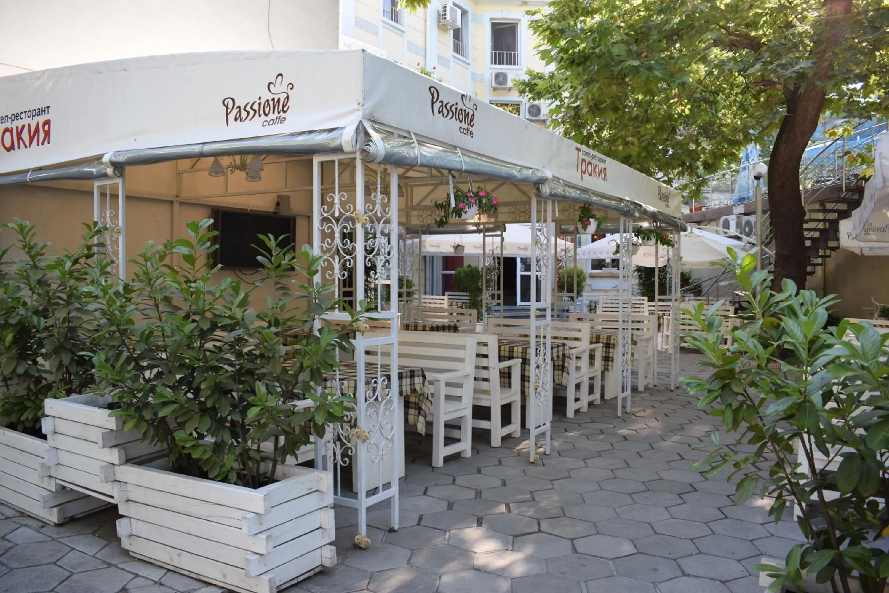 Garden in Hotel Trakia