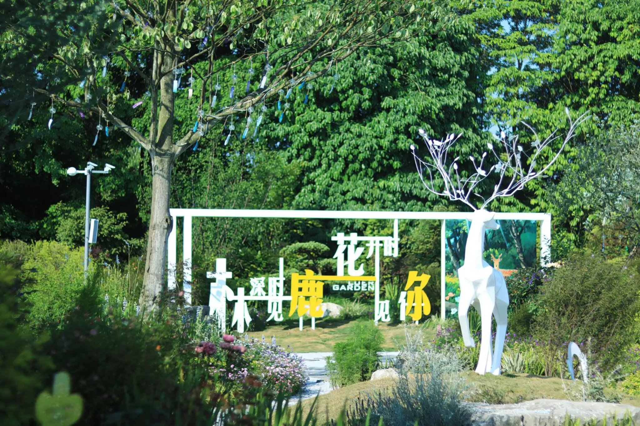 Area and facilities in Holiday Inn Express Chengdu Wenjiang Hotspring by IHG