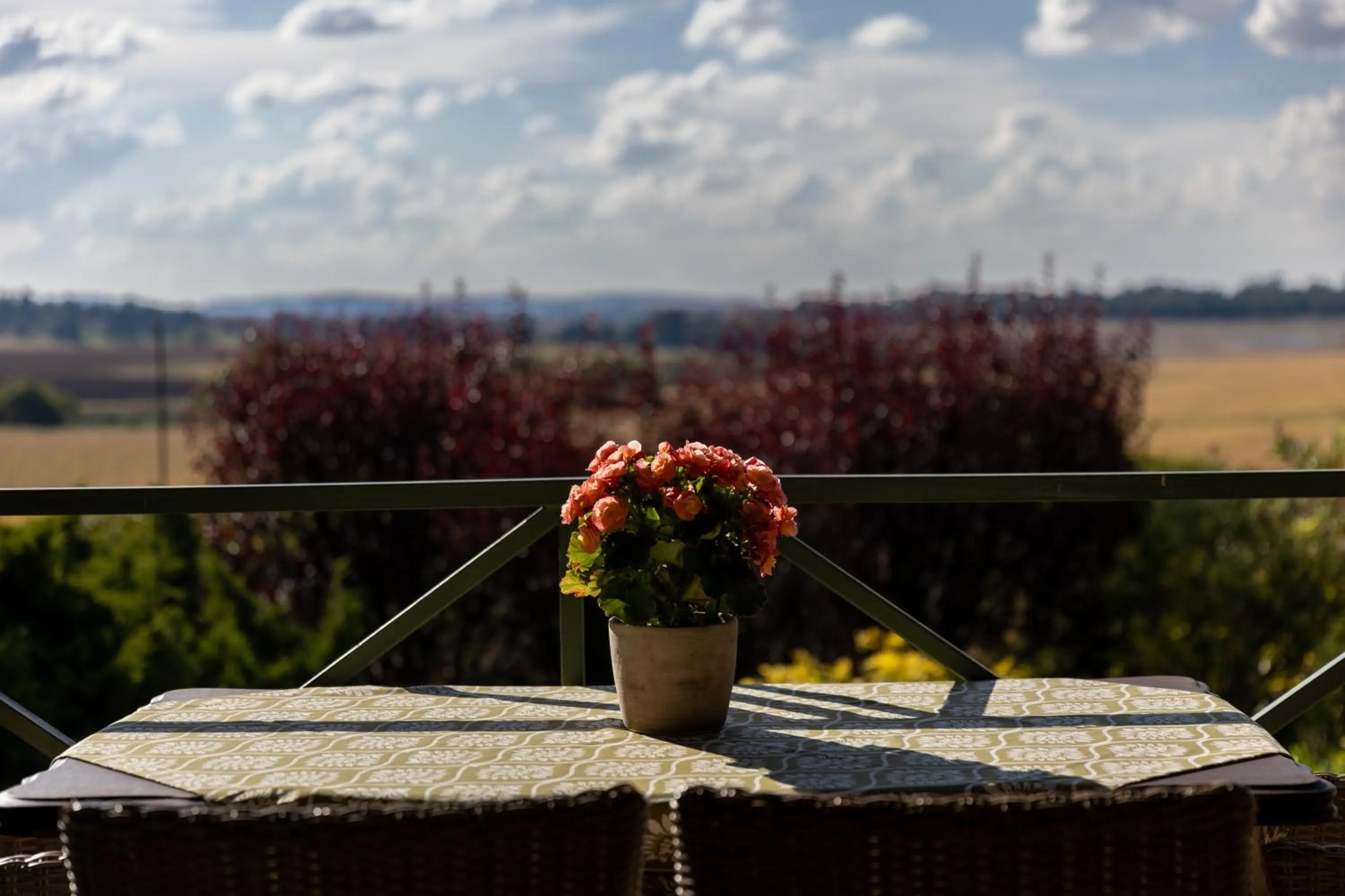 View (from property/room) in Andes Clarens Guesthouse
