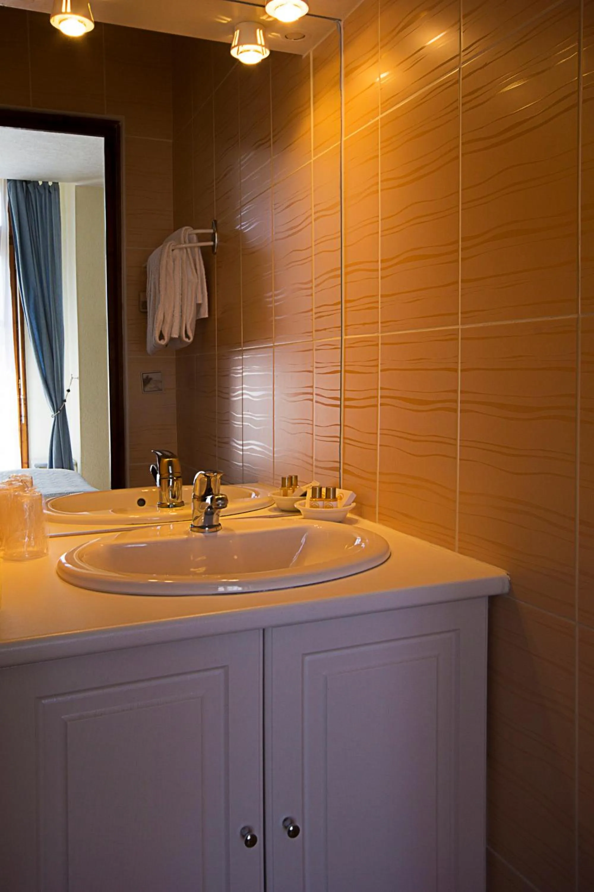 Single Room in Hôtel Le Dauphin