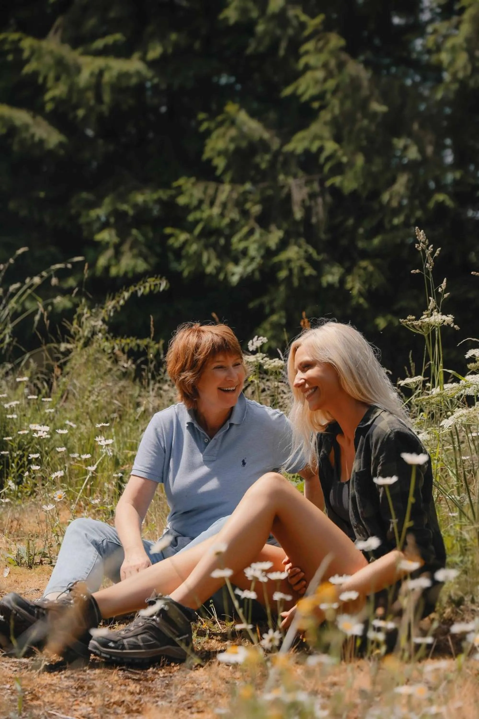Natural landscape in Domaine Des Hautes Fagnes