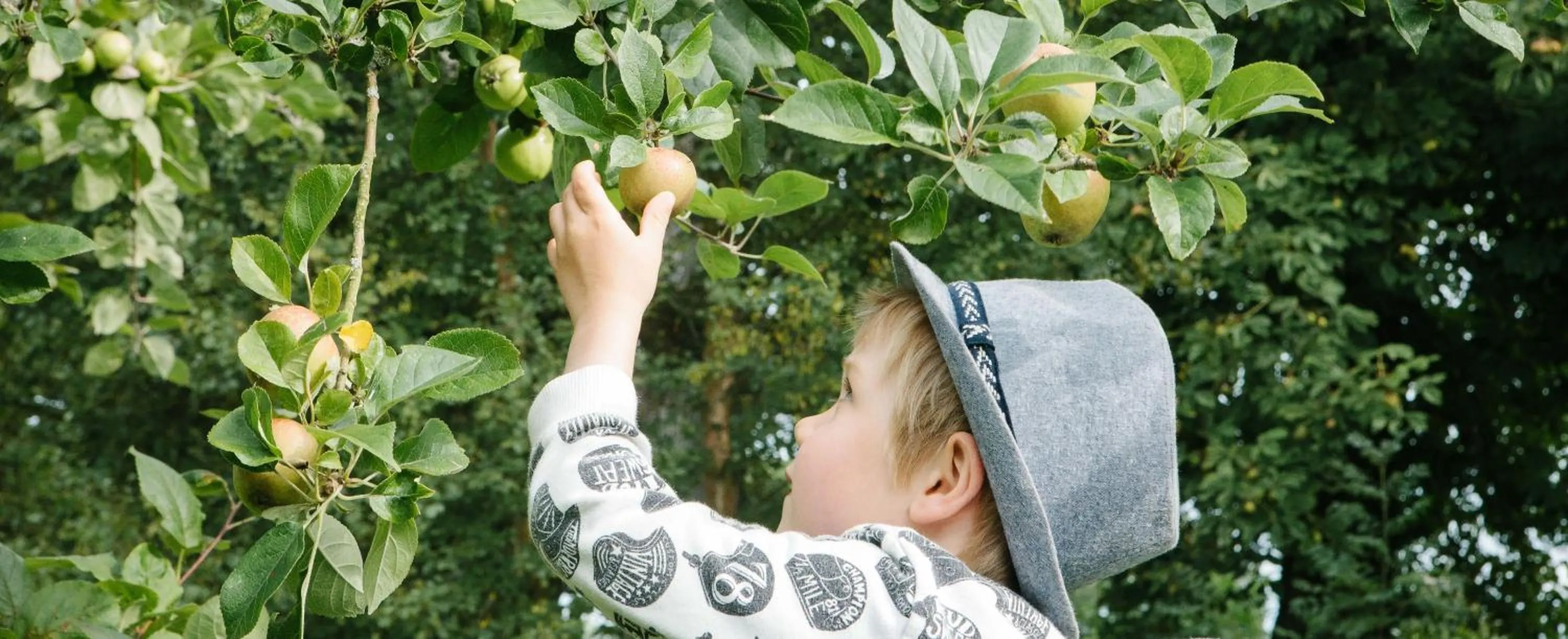 Activities in Llan-Y-Coed Farm Stay