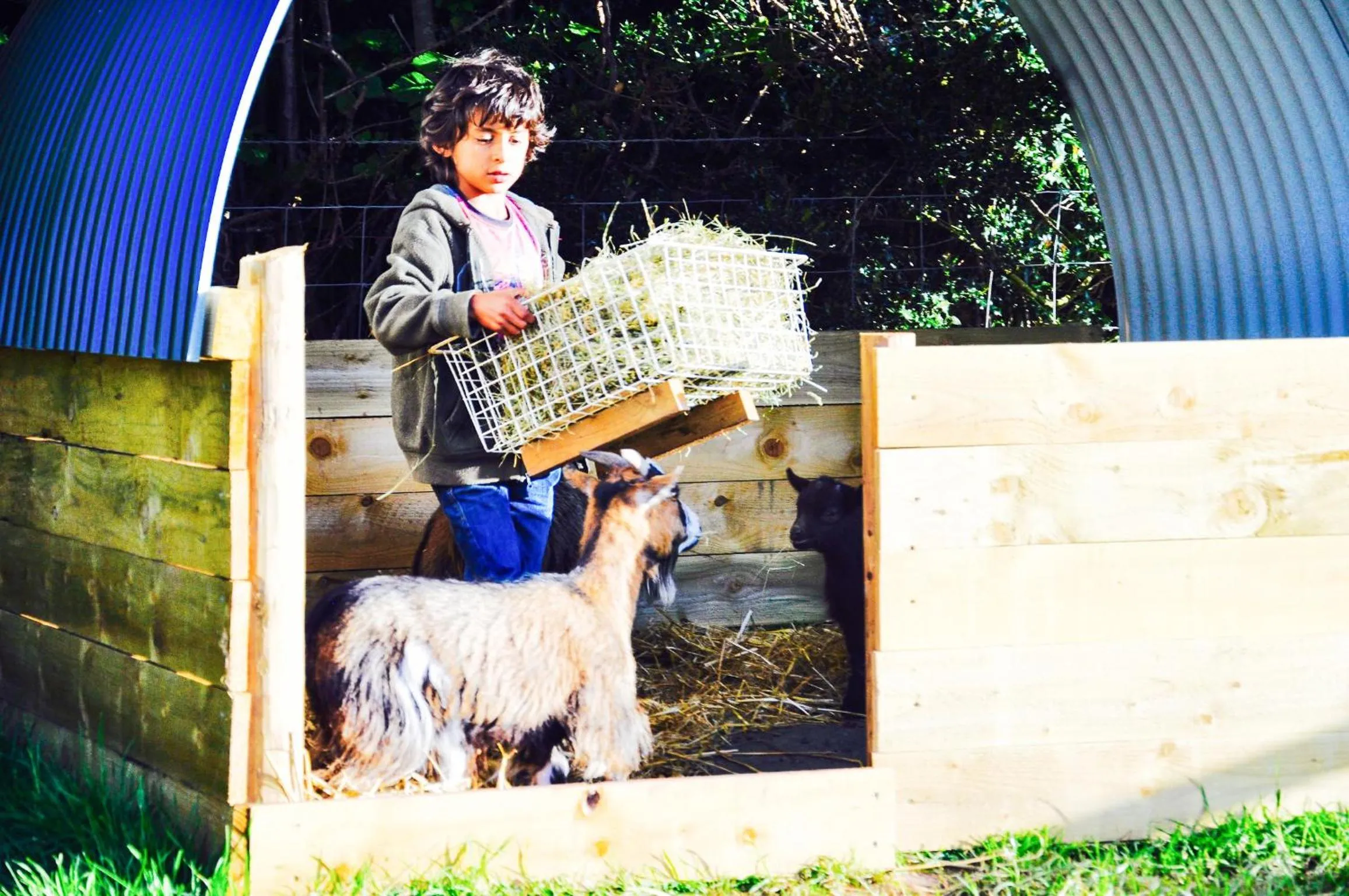 Activities in Llan-Y-Coed Farm Stay