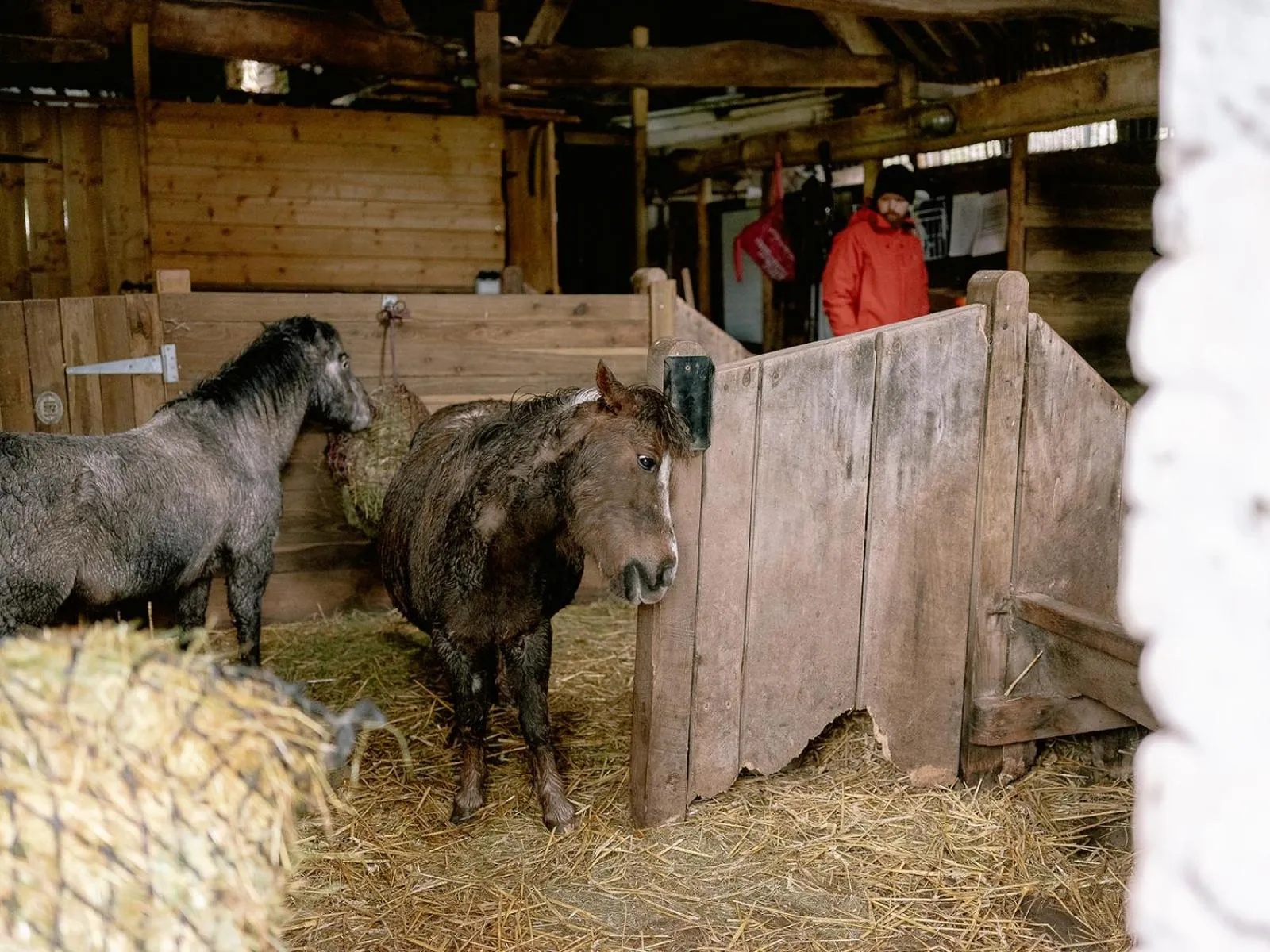 Llan-Y-Coed Farm Stay