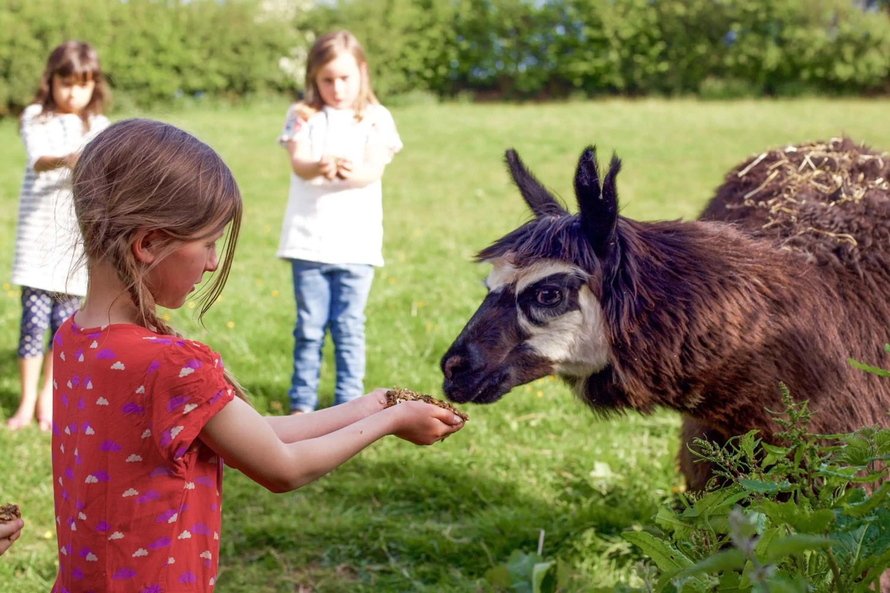 People in Llan-Y-Coed Farm Stay