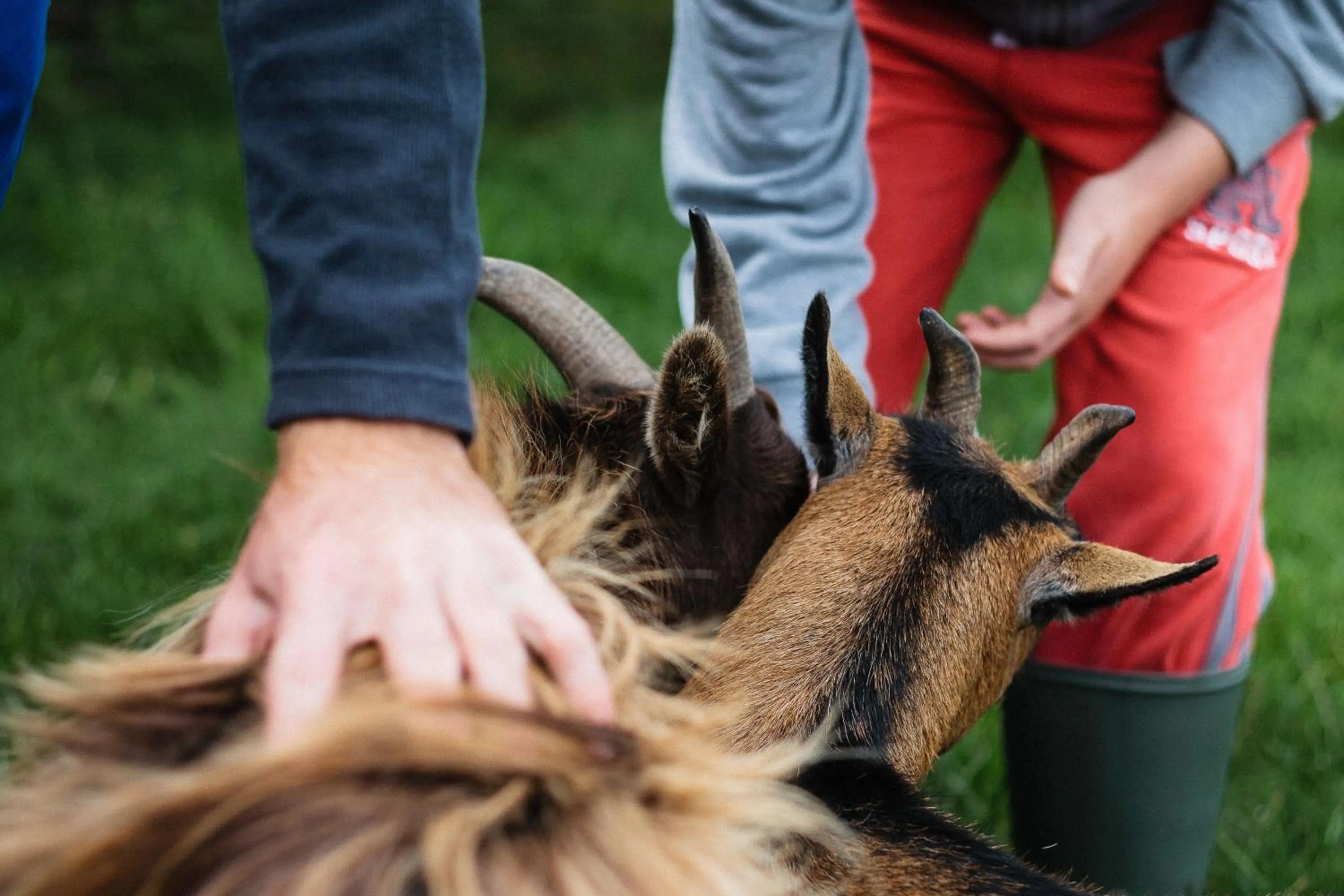 People in Llan-Y-Coed Farm Stay