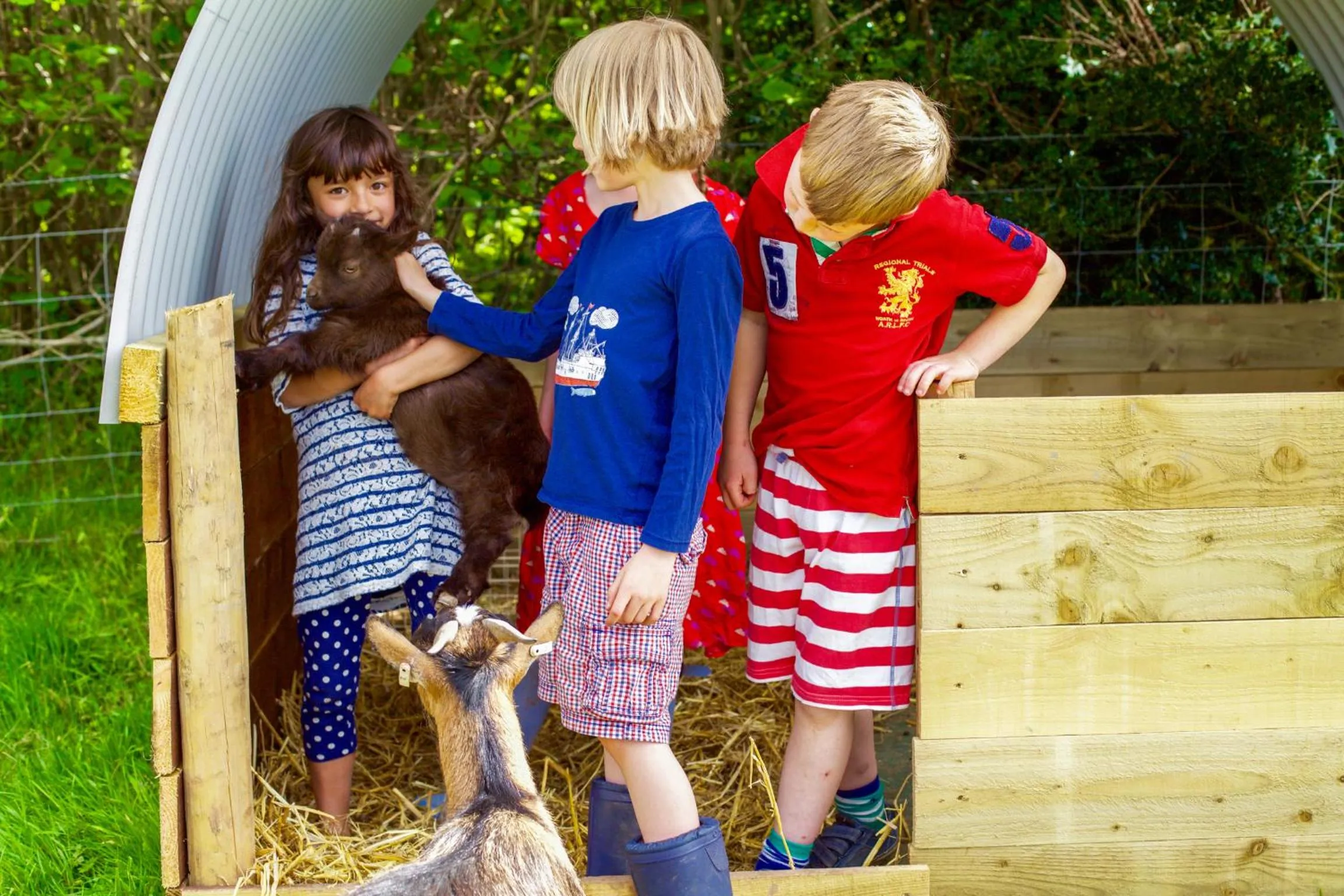People in Llan-Y-Coed Farm Stay
