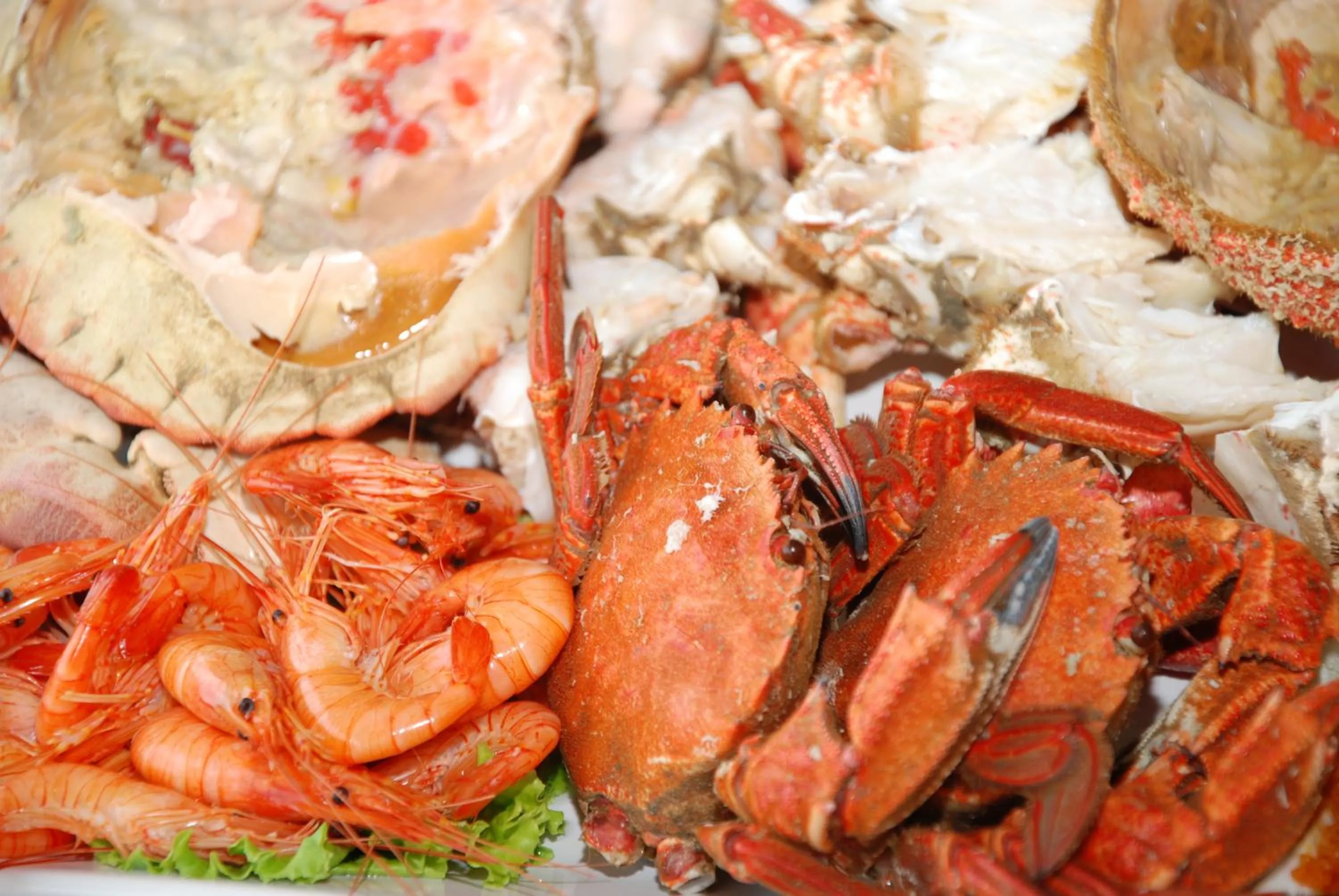 Food and drinks in Hotel Restaurante Glasgow