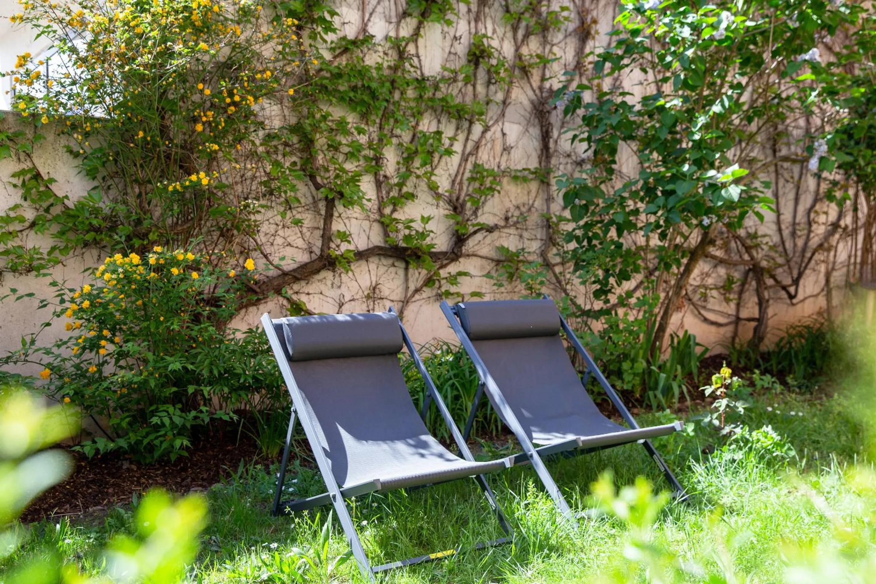 Garden in Appartement Luxueux Centre Ville