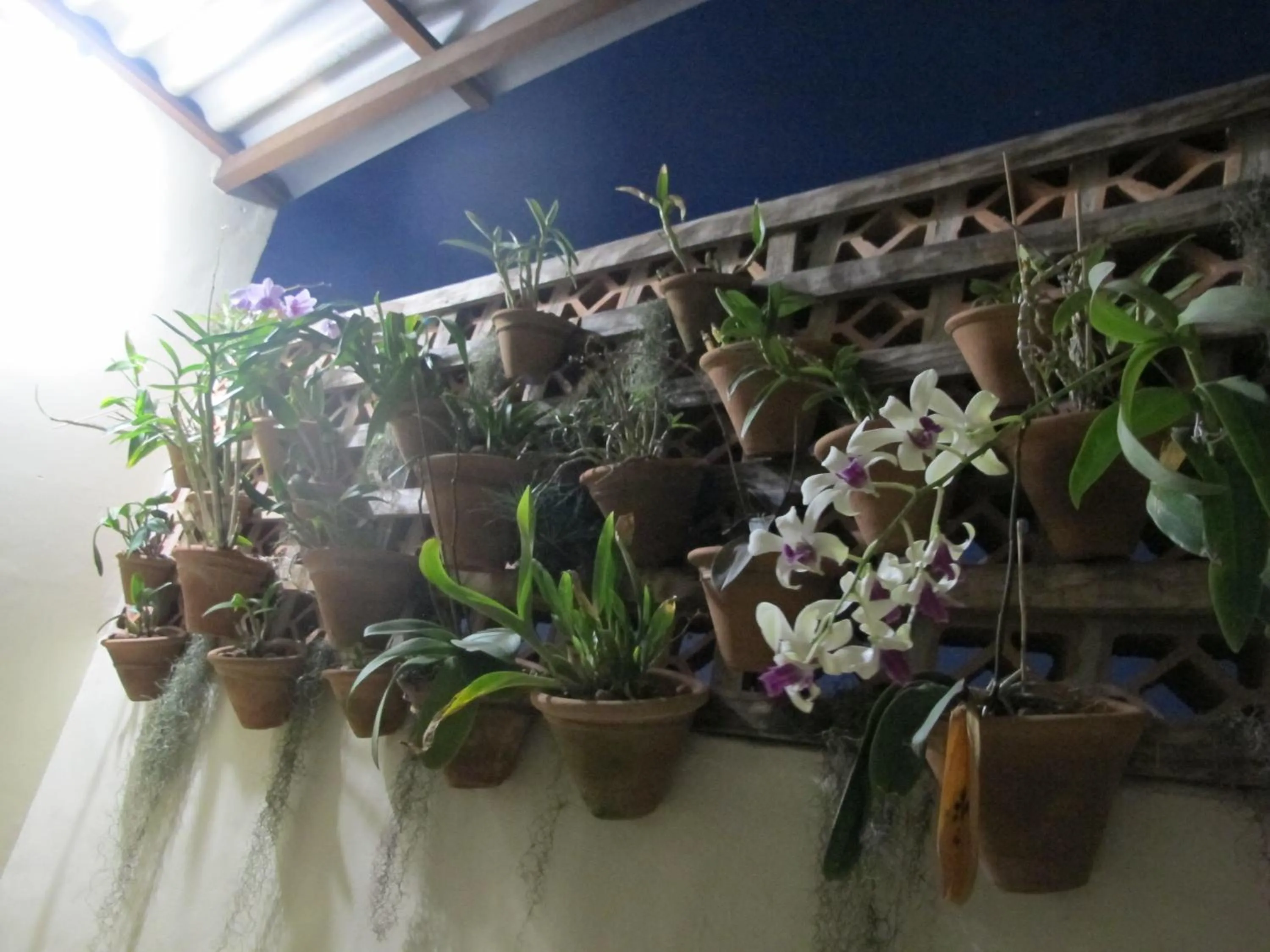 Decorative detail in Hope Pousada