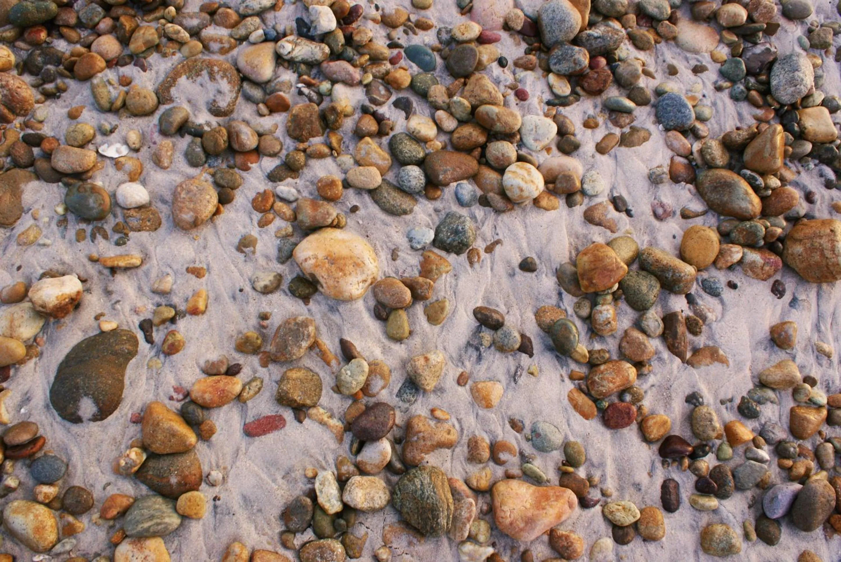 Property building in Punto Mita Eco Surf Suites & Café