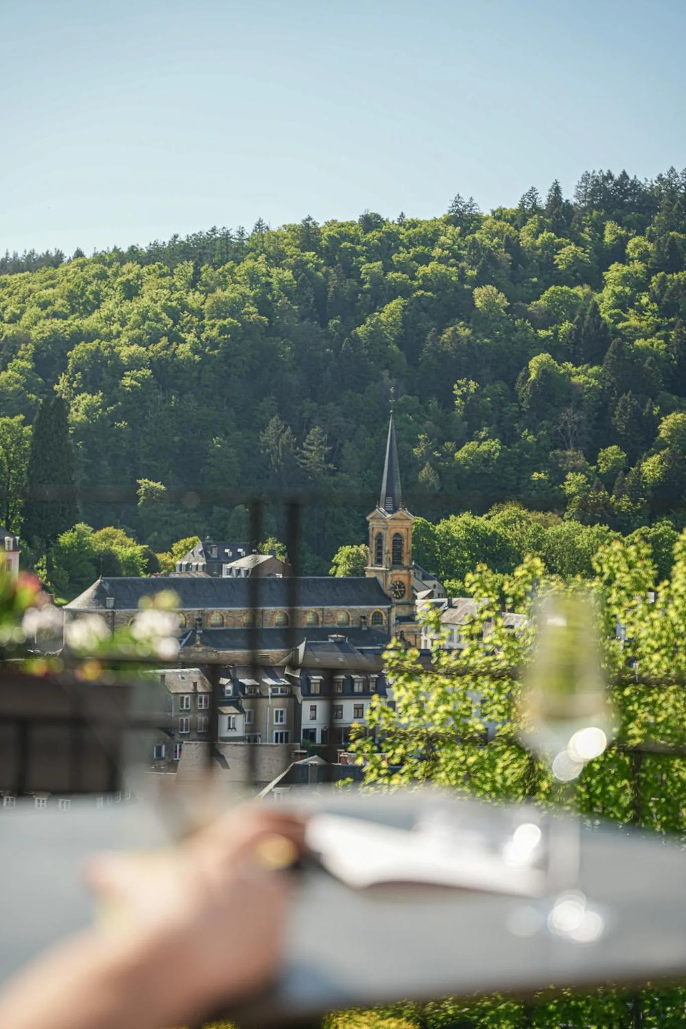 Natural landscape in Hôtel Panorama - Vue exceptionnelle sur la Semois