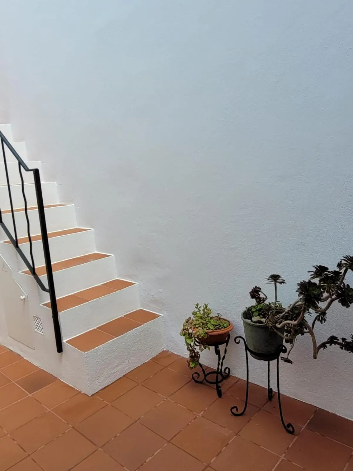 Patio in My Rooms Ciutadella Adults Only by My Rooms Hotels TI