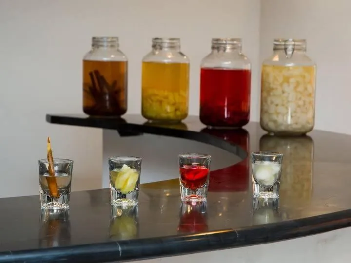 Lounge or bar in Plumeria Hotel