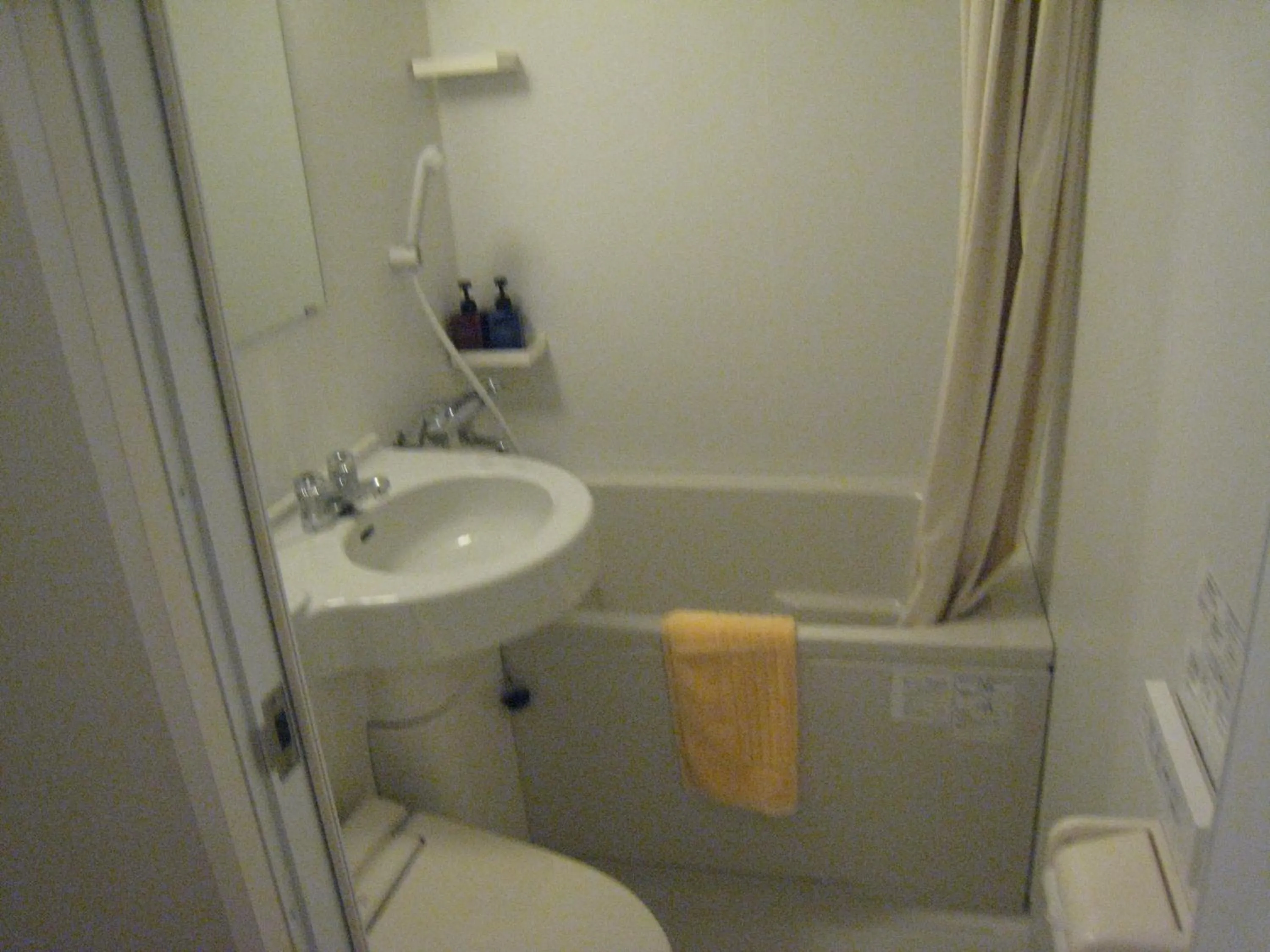 Bathroom in Kumagaya Royal Hotel Suzuki