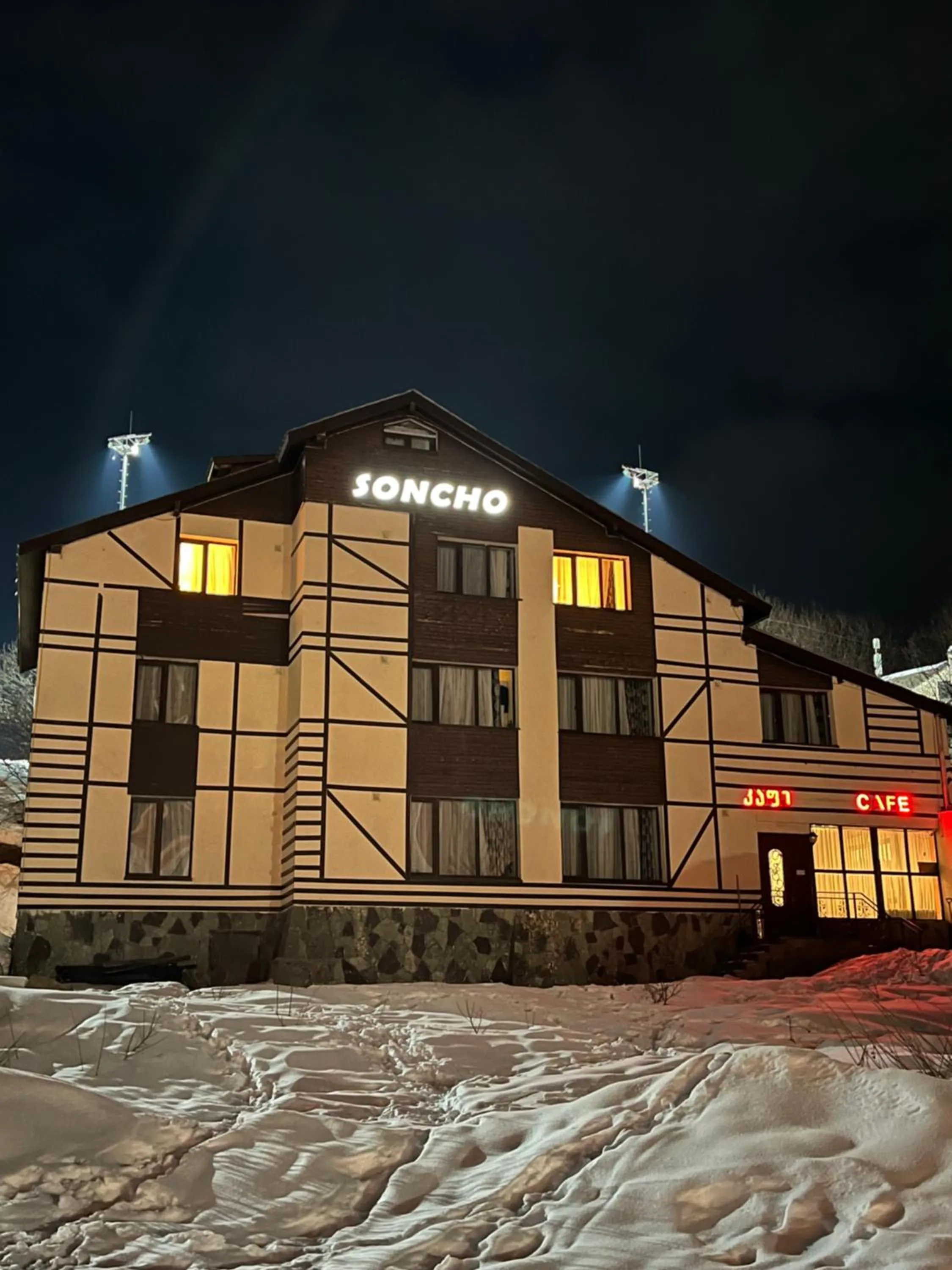 Property building in Soncho Gudauri