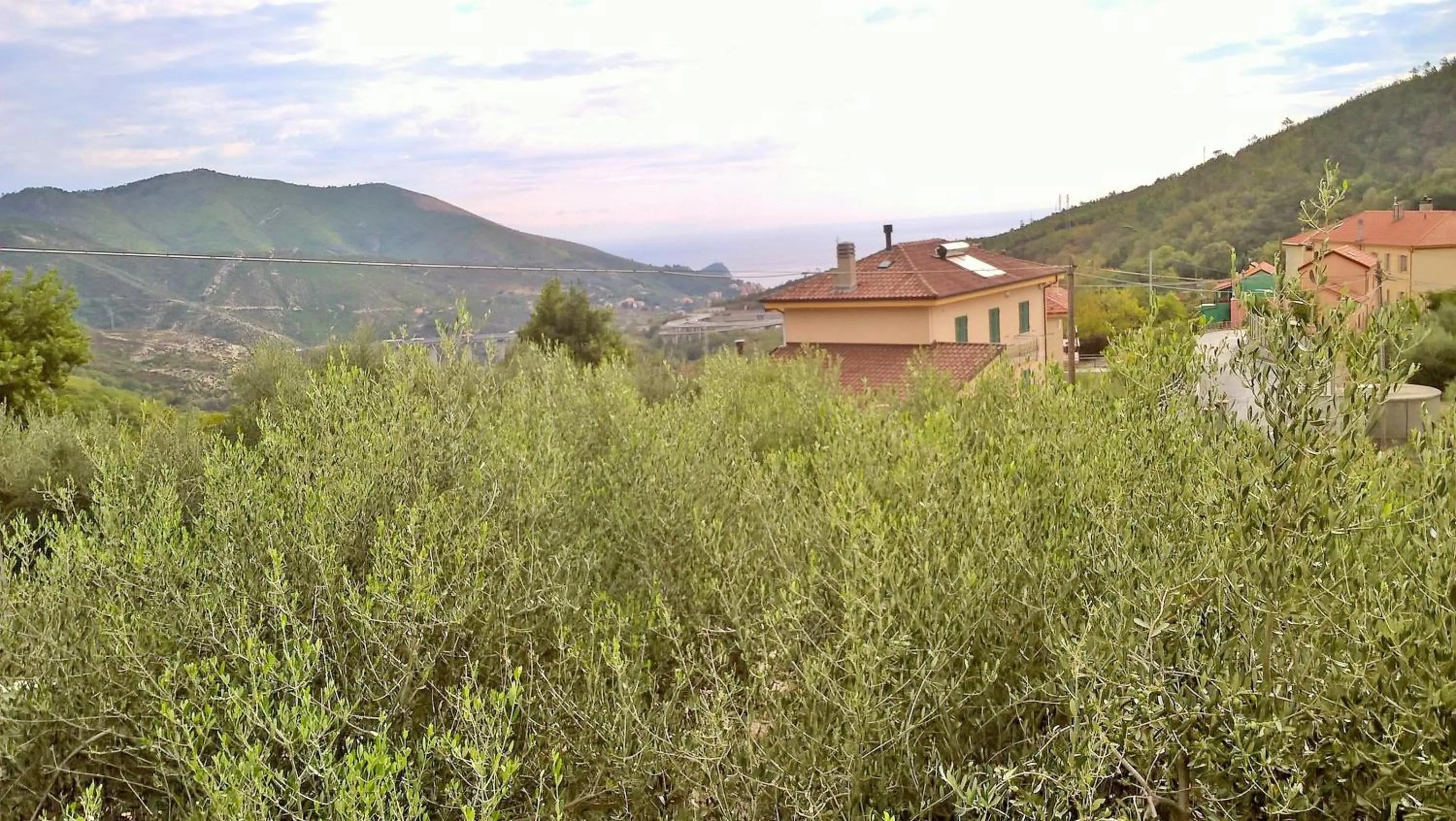 Mountain view in B&B Elfo degli Ulivi