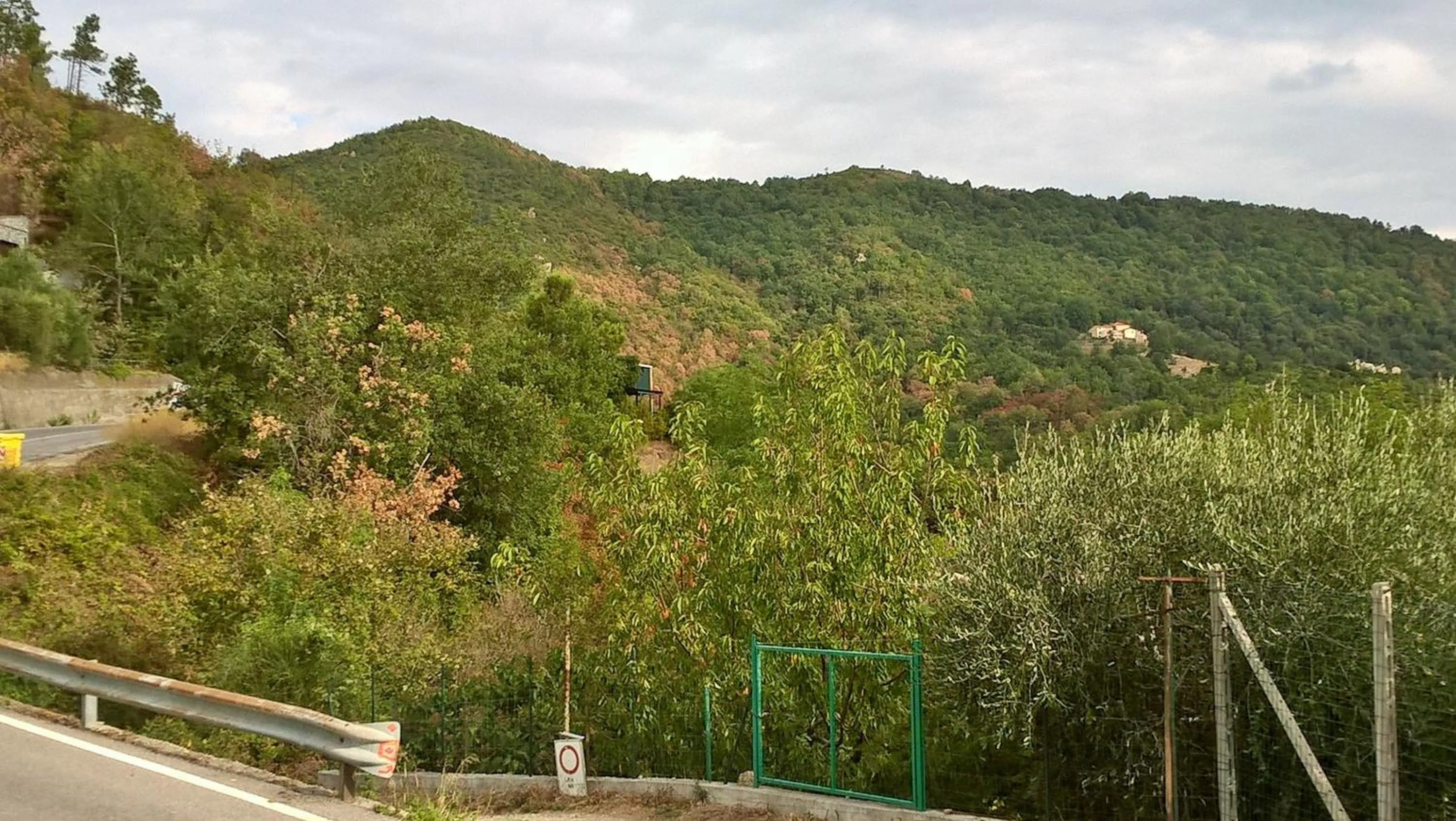 Mountain view in B&B Elfo degli Ulivi