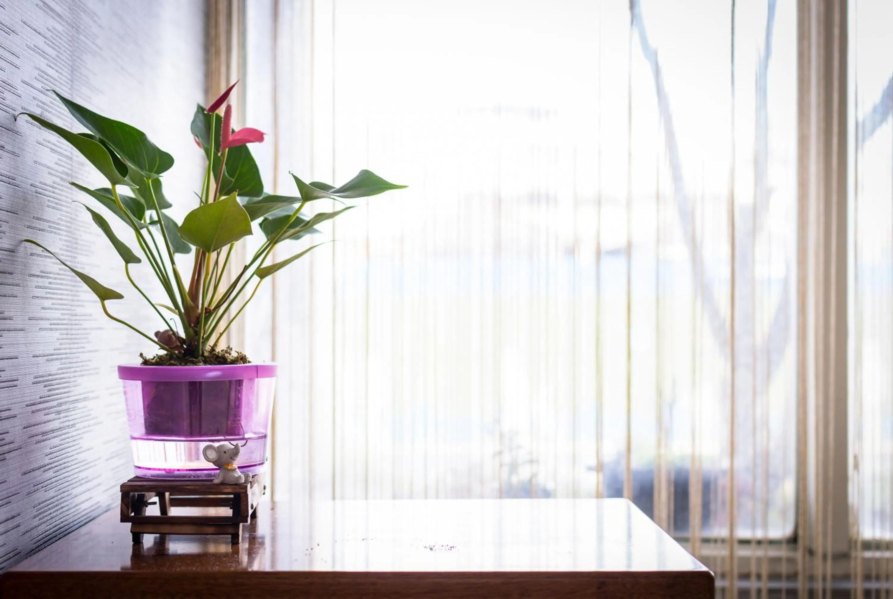 Lobby or reception in Golden Phoenix Hotel