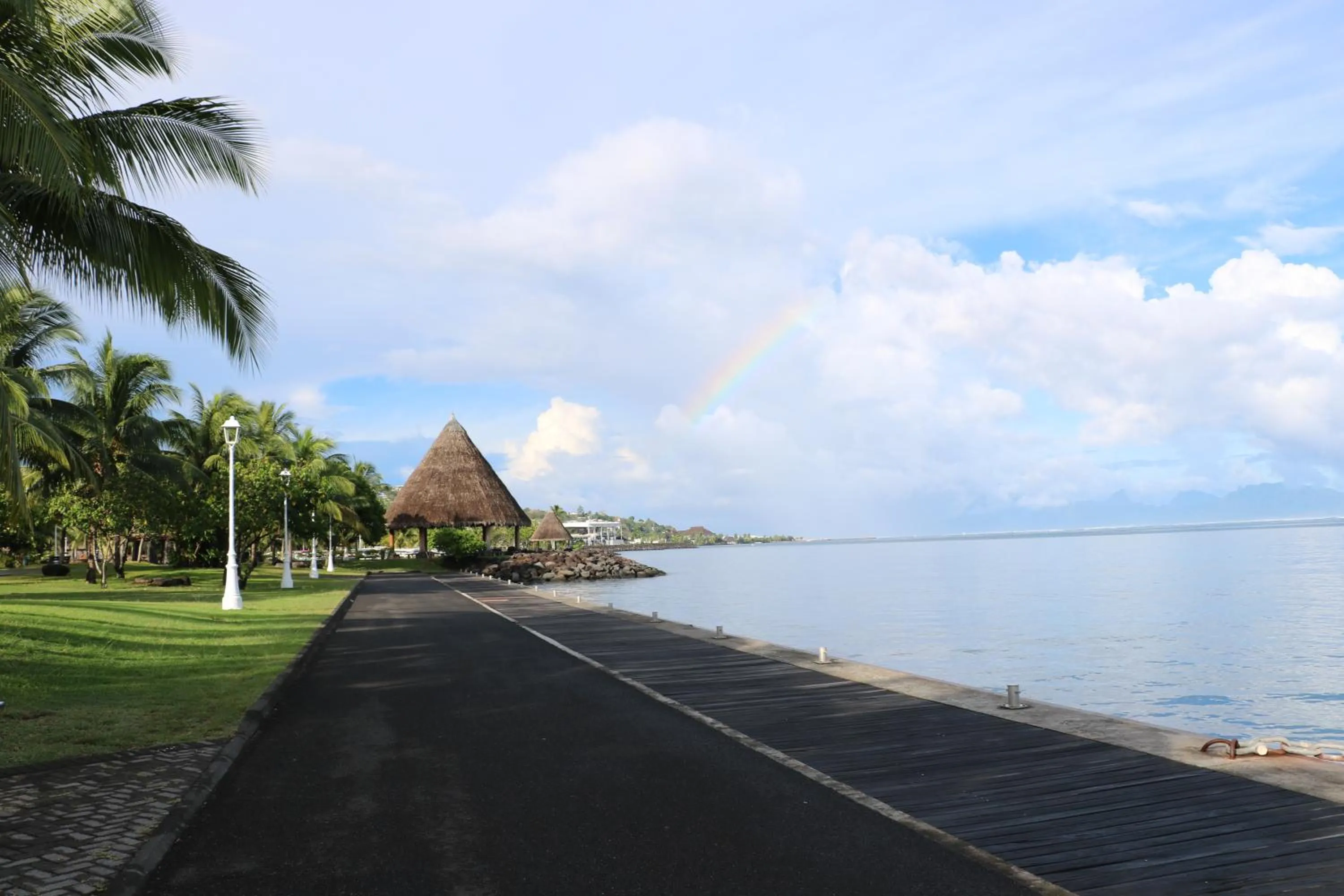 Garden in Mahana Lodge Hostel & Backpacker