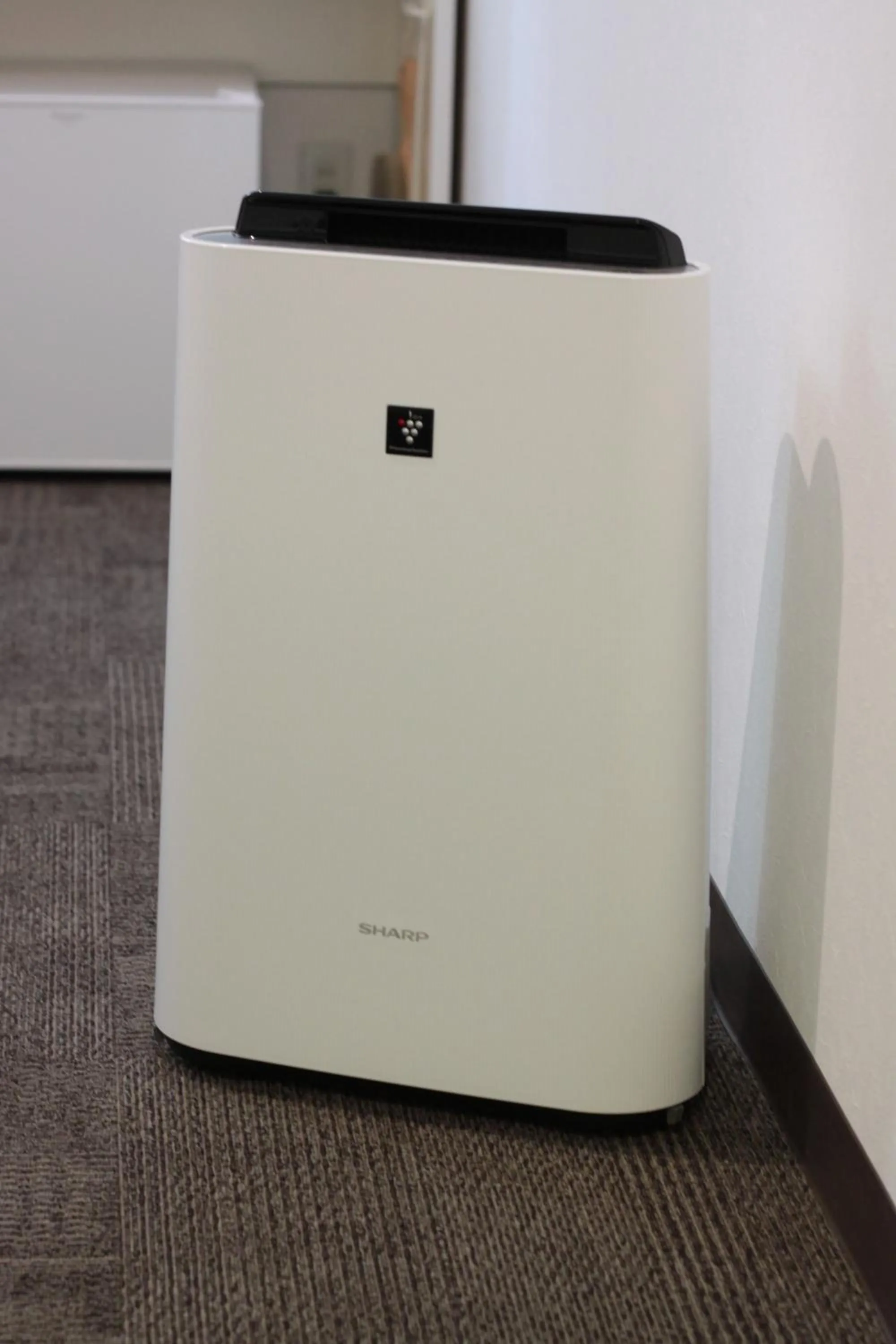 Decorative detail in Takamatsu Century Hotel