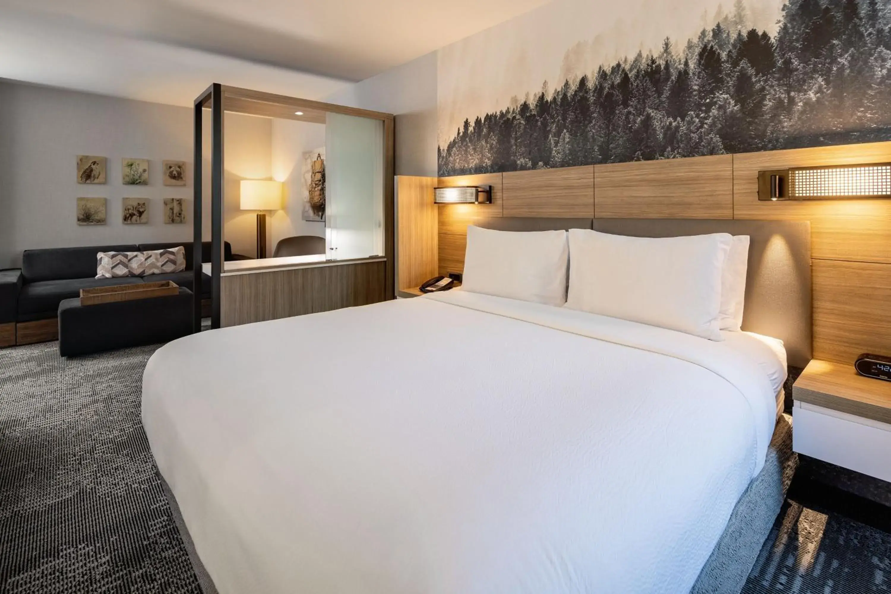 King Suite in SpringHill Suites by Marriott Jackson Hole King Suite in SpringHill Suites by Marriott Jackson Hole
