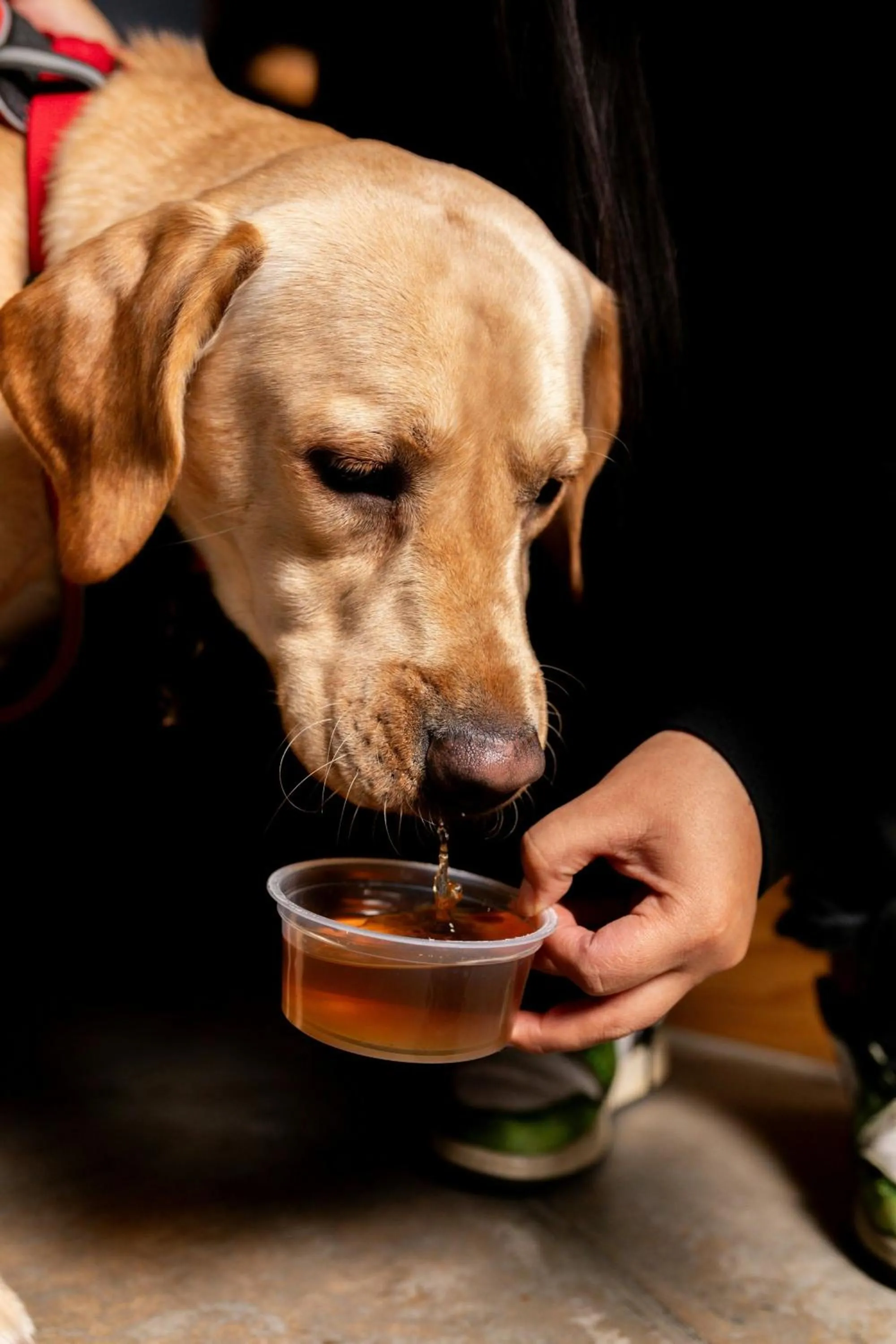 Other in Moxy London Excel