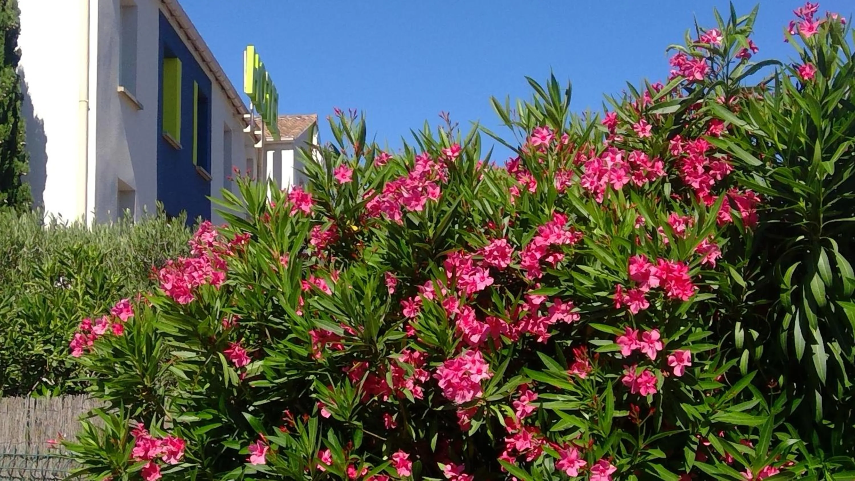 Decorative detail in B&B HOTEL Toulon Ollioules