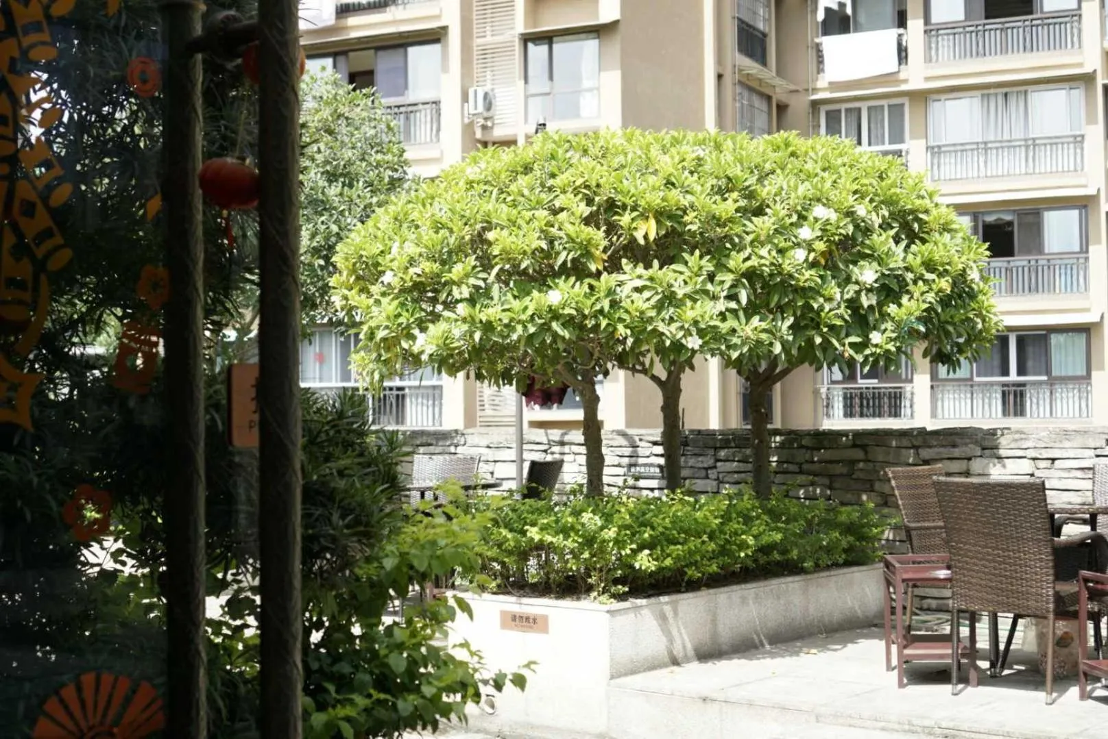 Garden in Jin-Tai Holiday Hotel