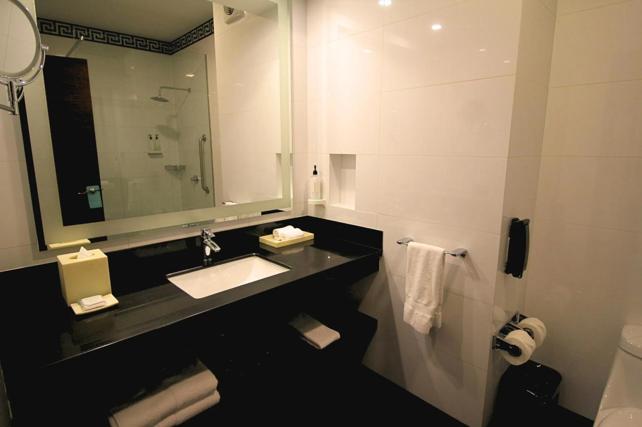 Bathroom in Hilton Garden Inn Lima Surco