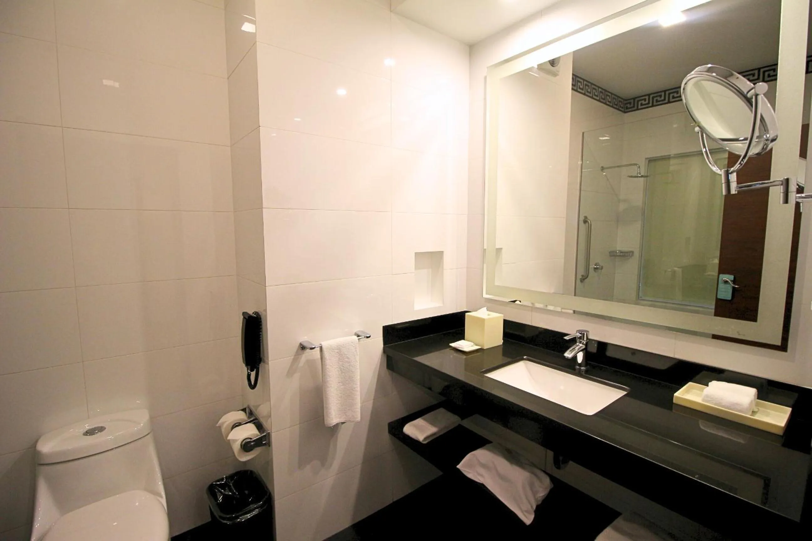 Bathroom in Hilton Garden Inn Lima Surco