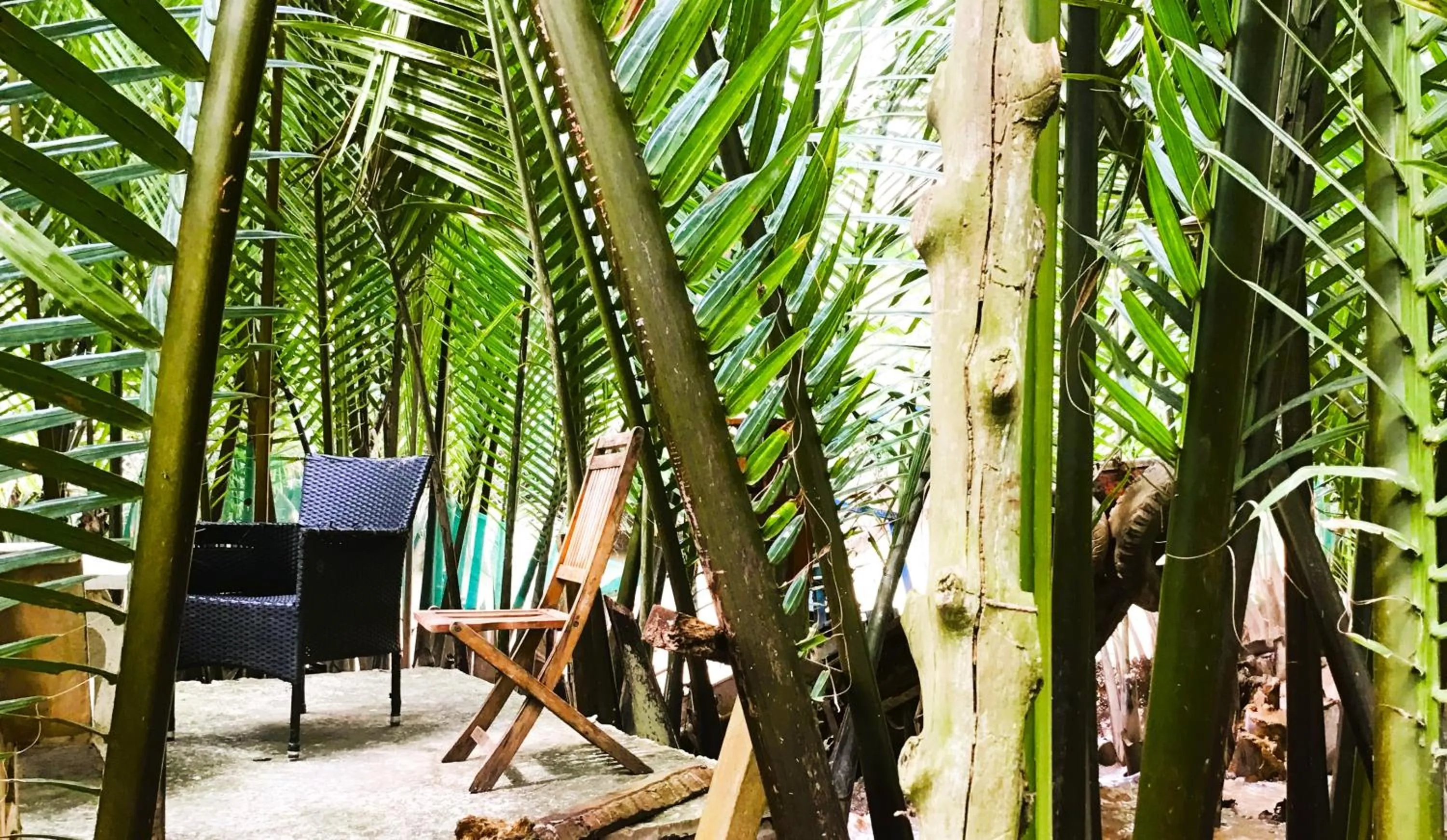 Neighbourhood in Ben Tre Farm Stay