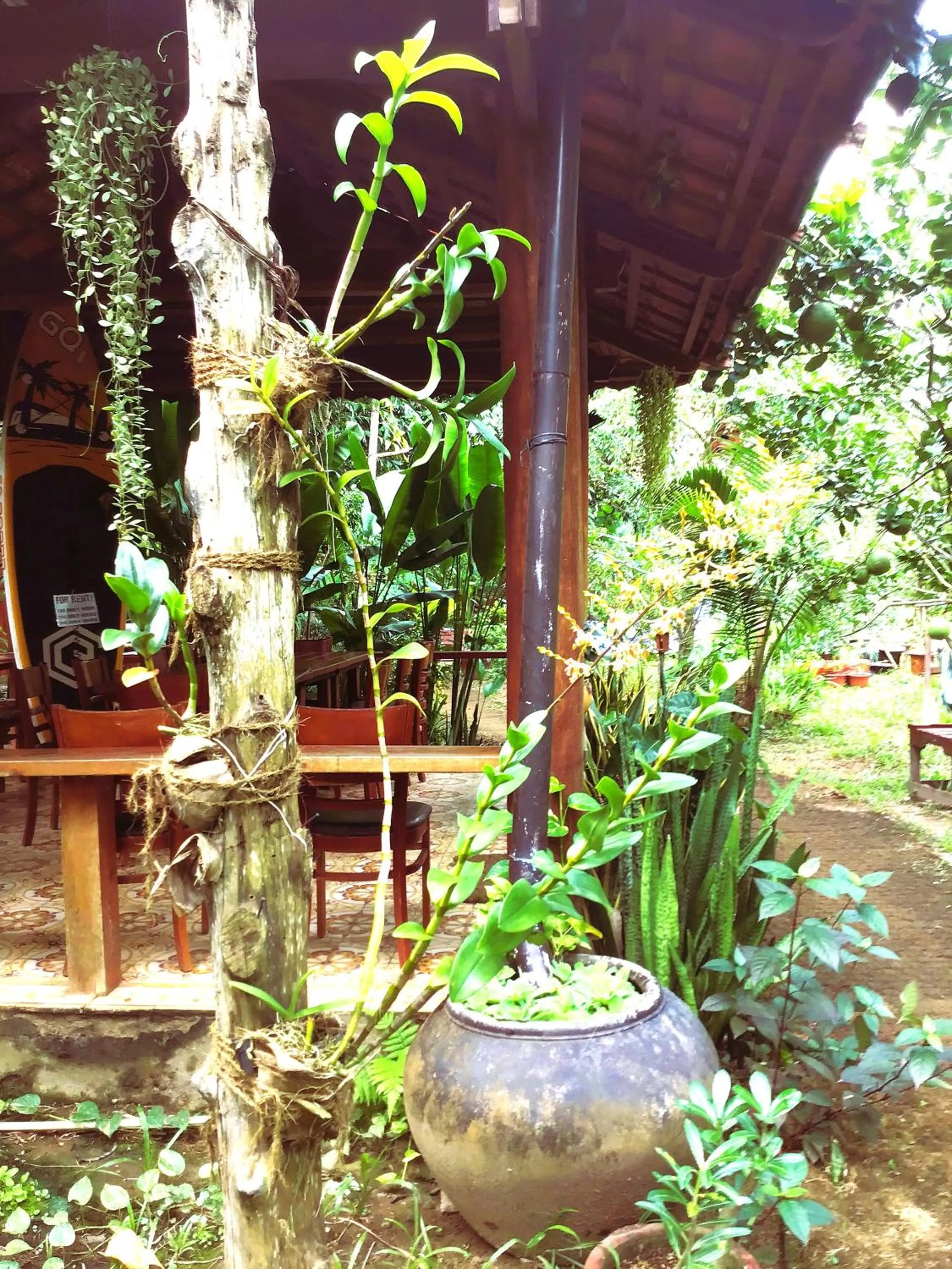Patio in Ben Tre Farm Stay